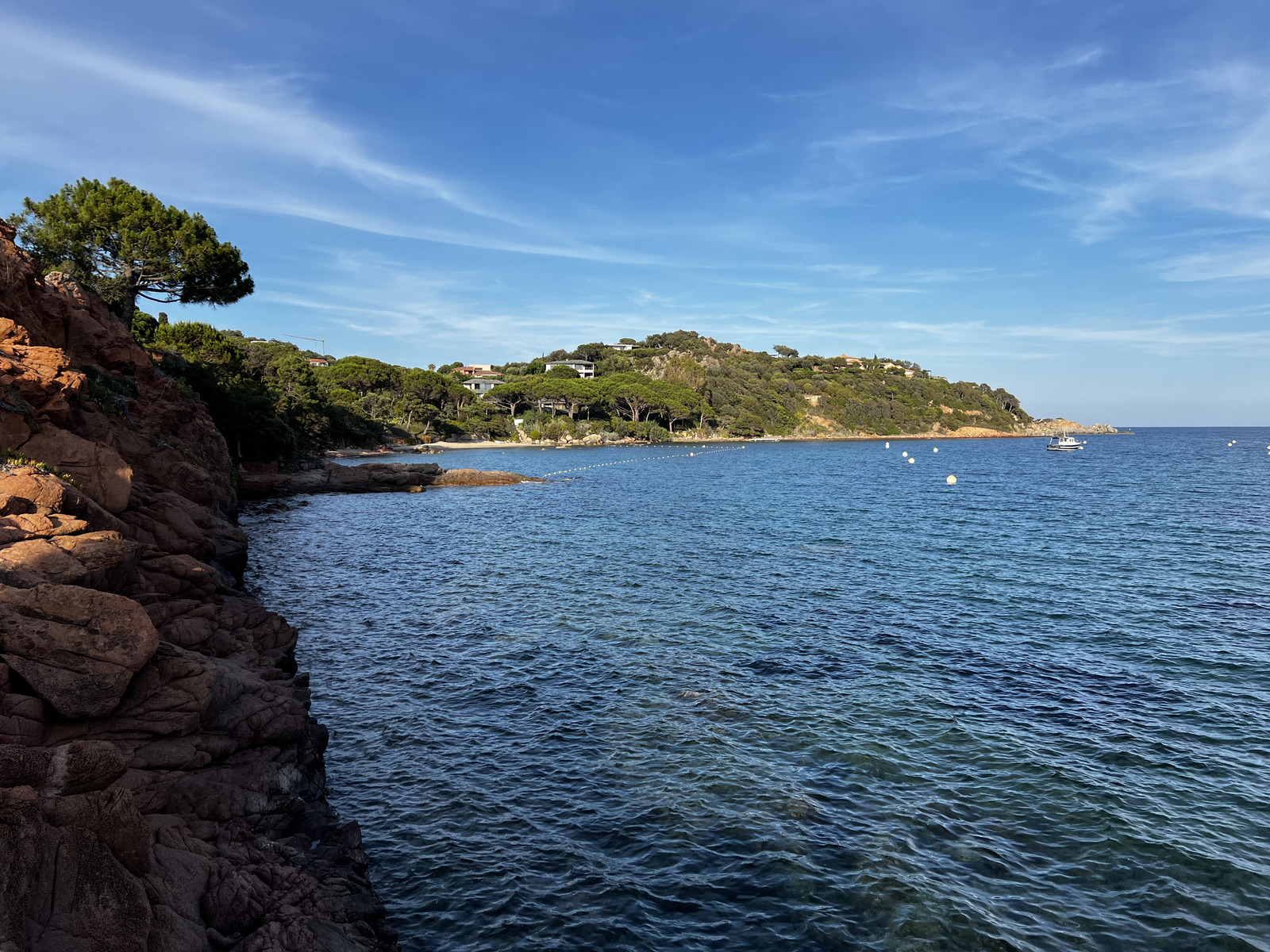 Picture France Corsica ⁨Cala Rossa⁩ 2024-05 28 - Picture ⁨Cala Rossa⁩