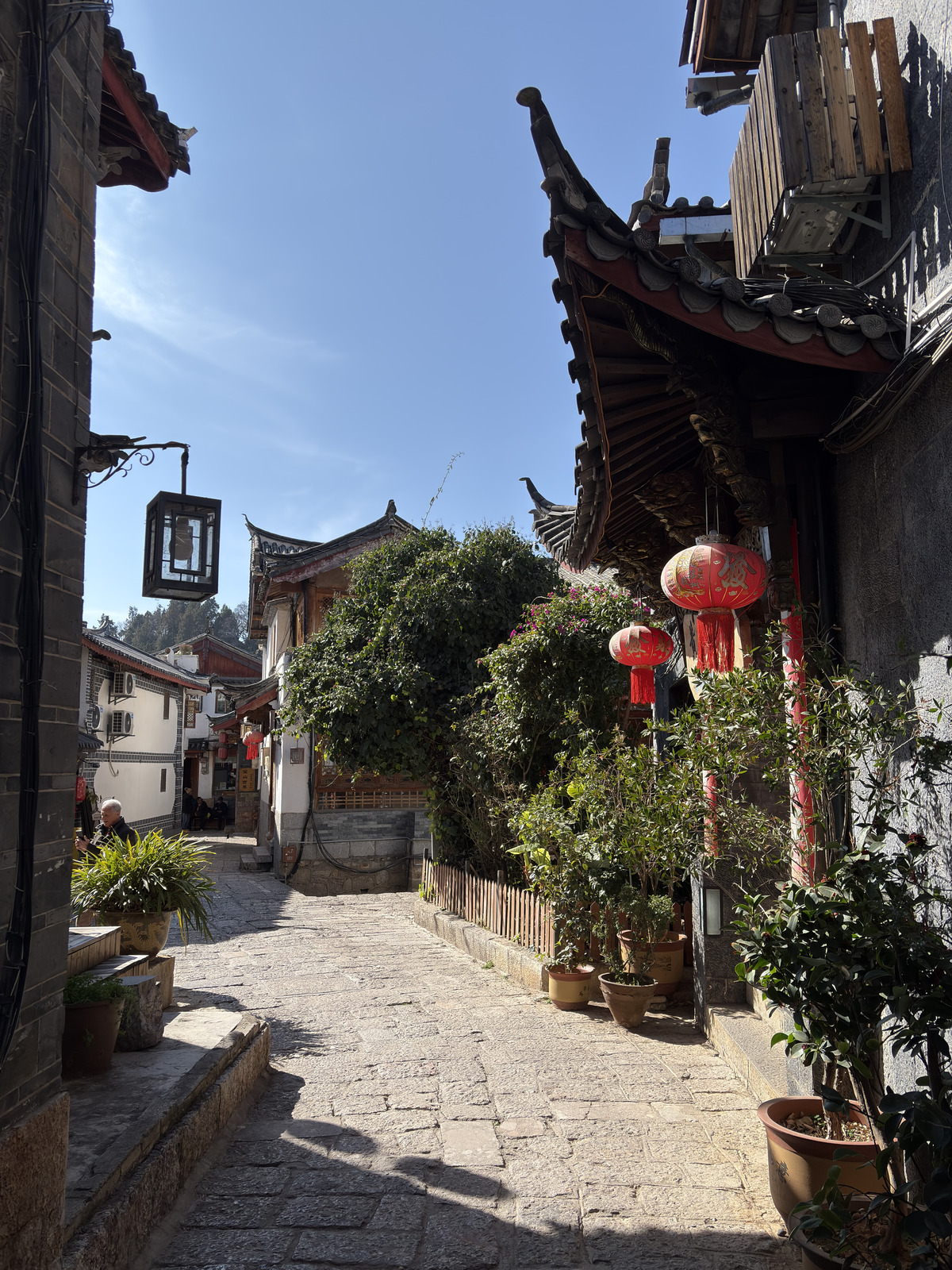 Picture China Lijiang 2026-01 767 - Perspective Lijiang