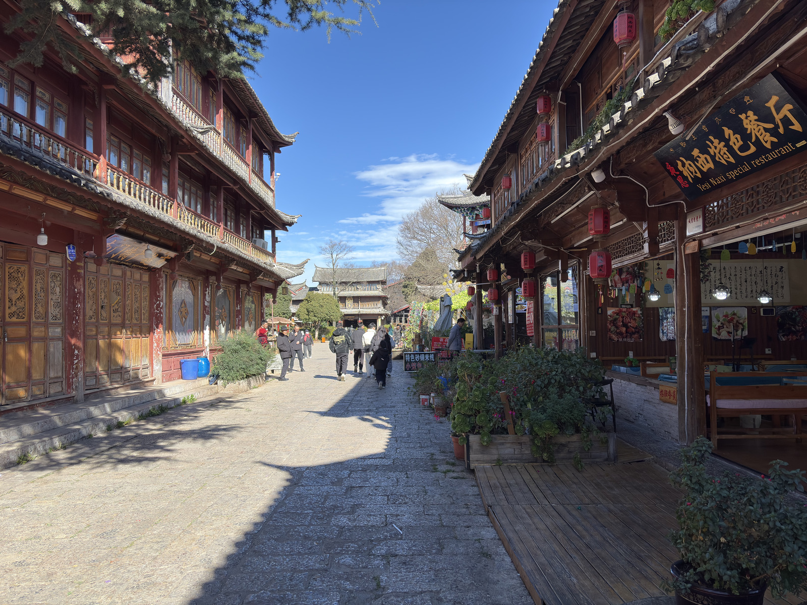 Picture China Lijiang 2026-01 401 - Photographers Lijiang