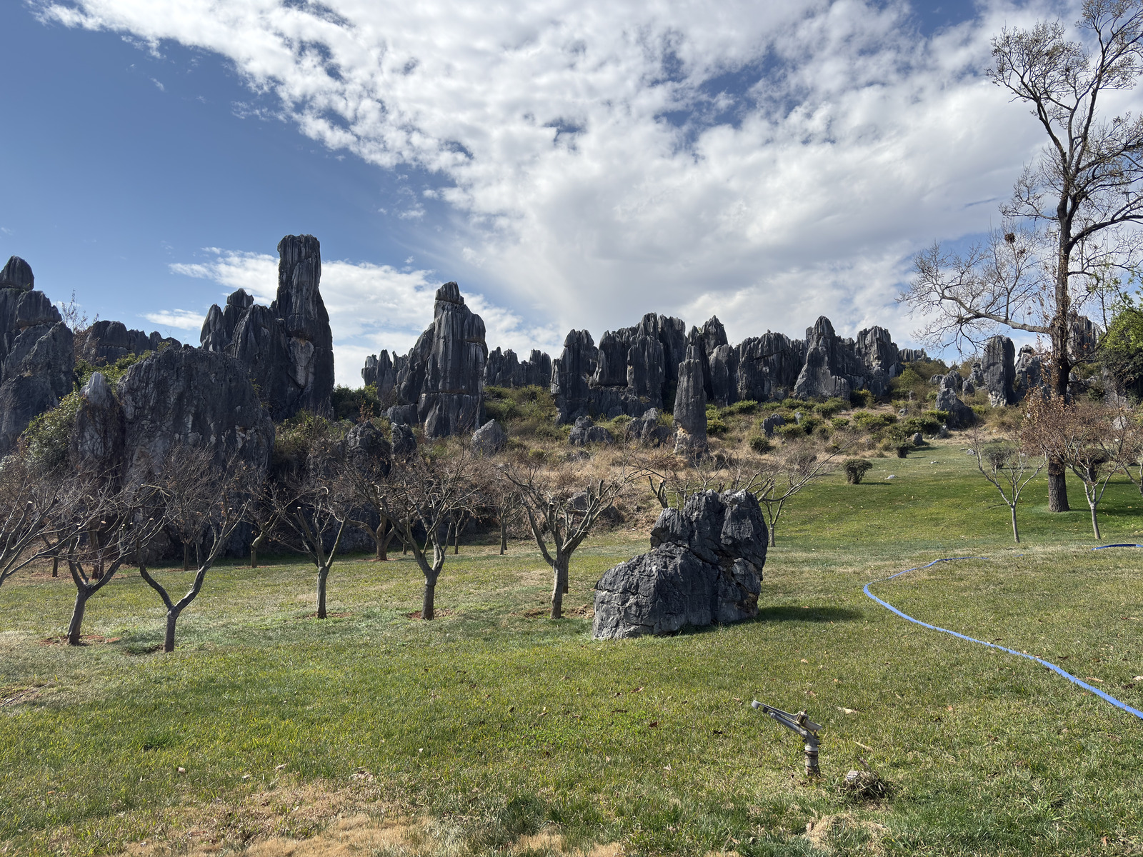 Picture China Shilin Stone Forest 2026-01 79 - Trips Shilin Stone Forest