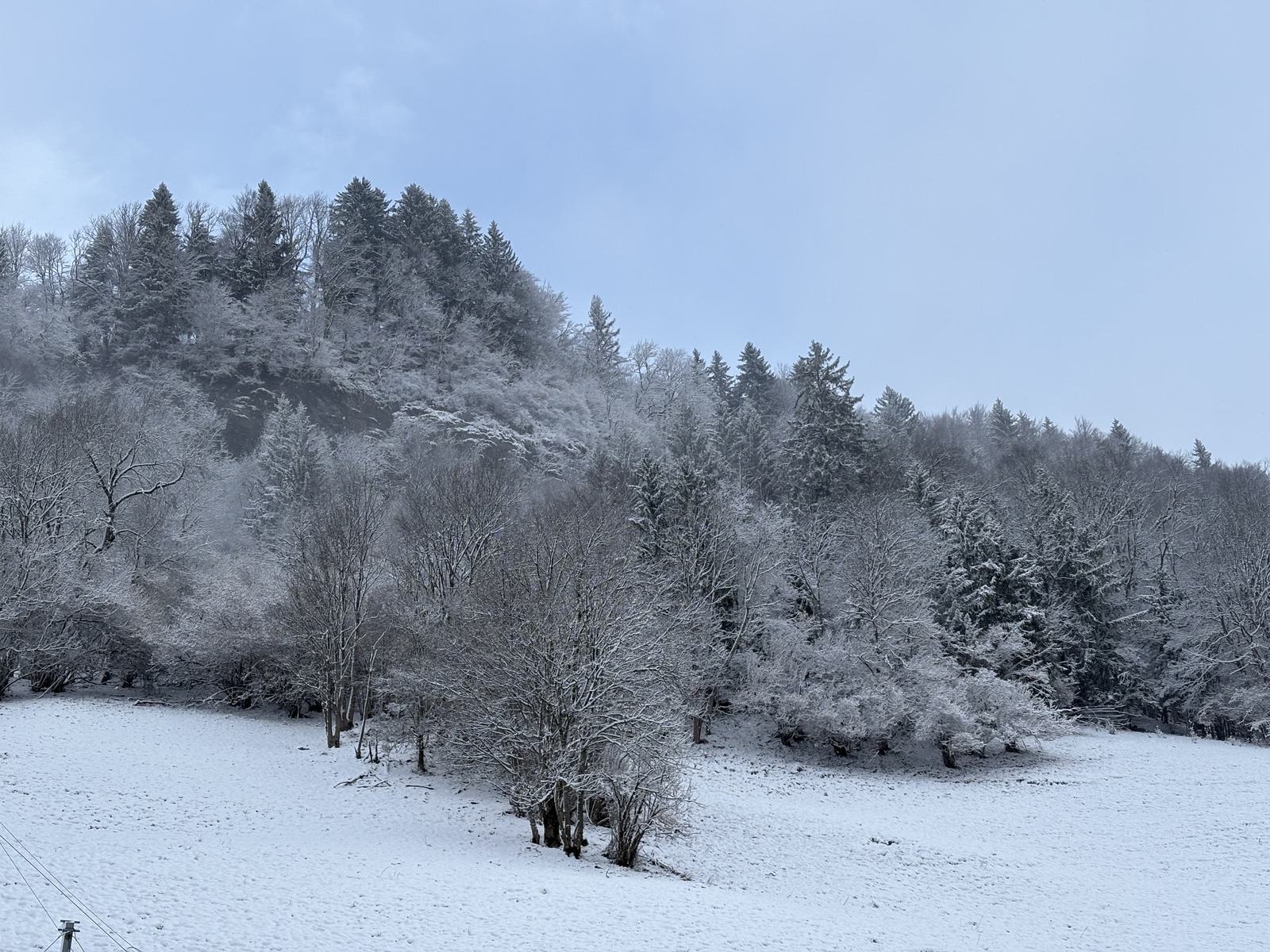 Picture France Praz sur Arly 2025-02 31 - Photos Praz sur Arly