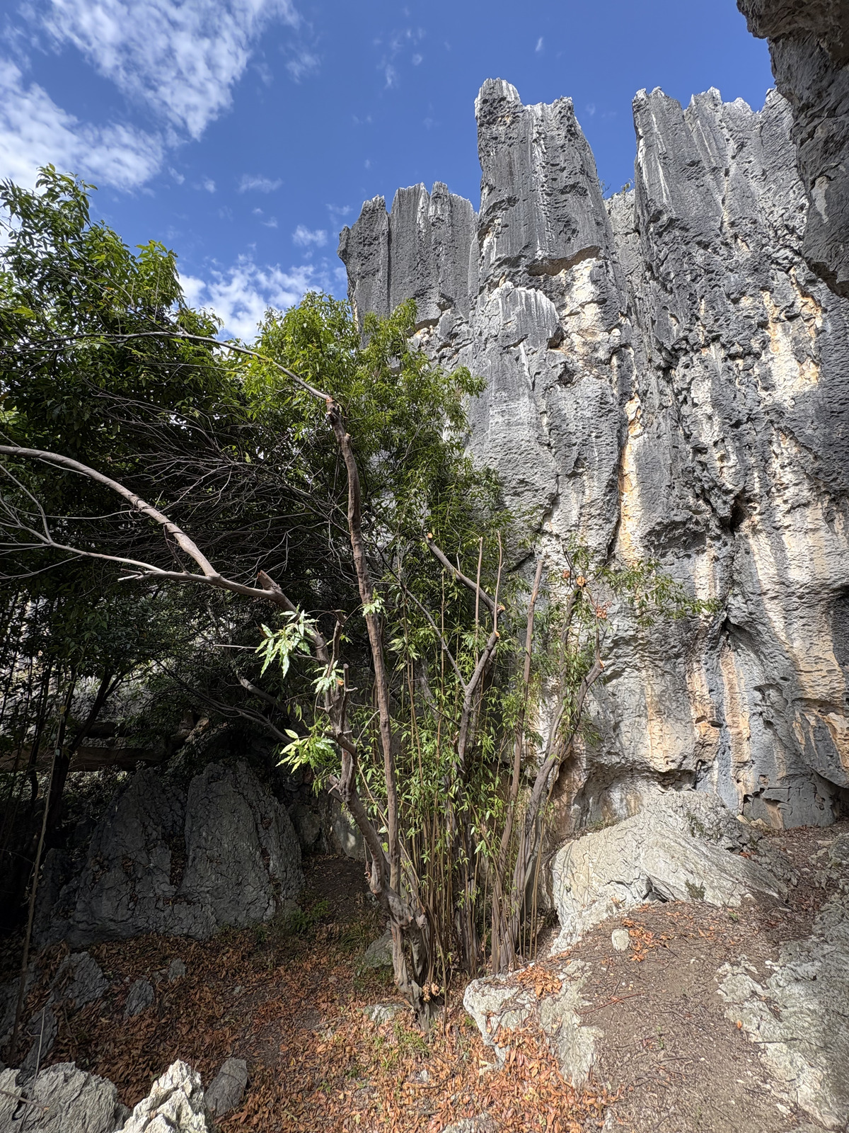 Picture China Shilin Stone Forest 2026-01 199 - Pictures Shilin Stone Forest