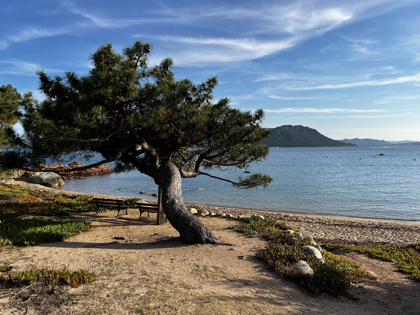 Picture France Corsica ⁨Cala Rossa⁩ 2024-05 32 - Sight ⁨Cala Rossa⁩