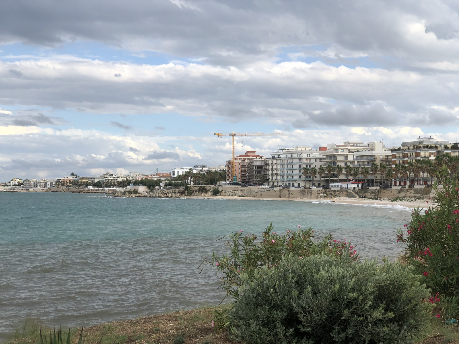 Picture Italy Trani 2024-09 137 - Map Trani