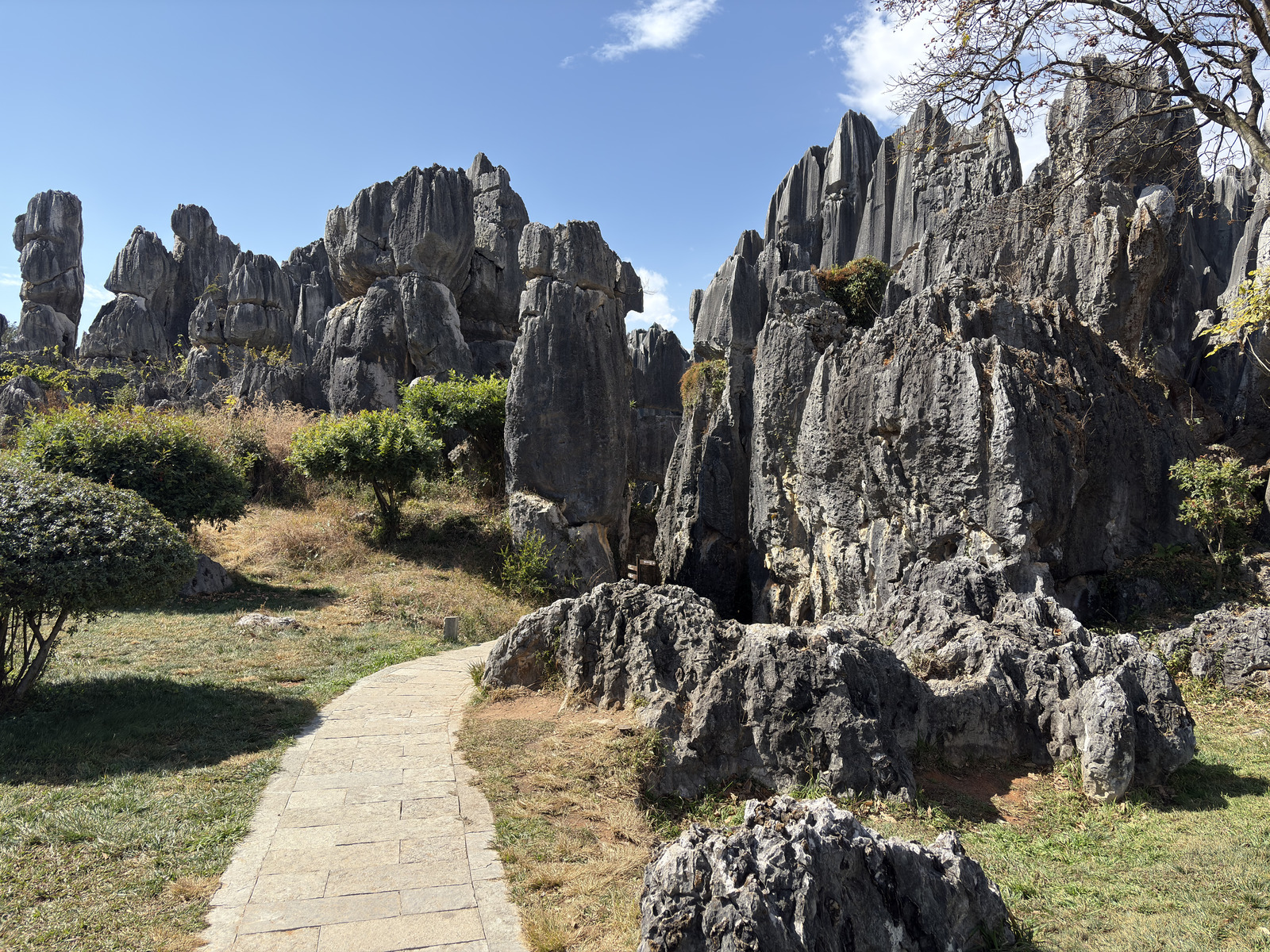 Picture China Shilin Stone Forest 2026-01 308 - Perspective Shilin Stone Forest