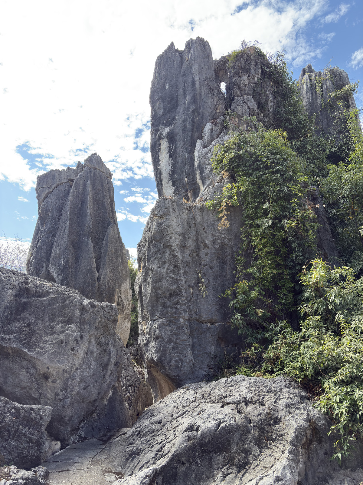 Picture China Shilin Stone Forest 2026-01 297 - Car Shilin Stone Forest