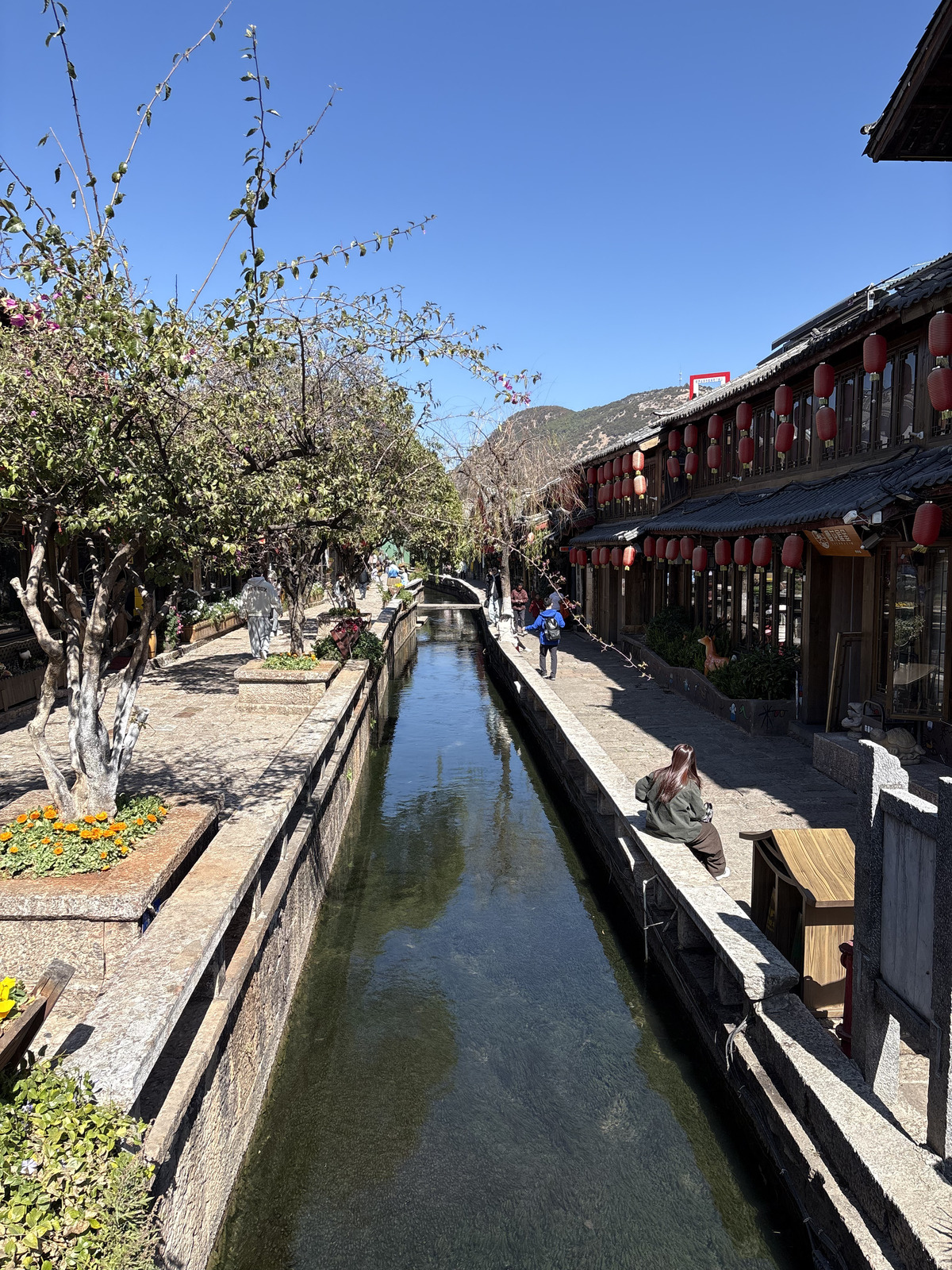 Picture China Lijiang 2026-01 559 - Randonee Lijiang