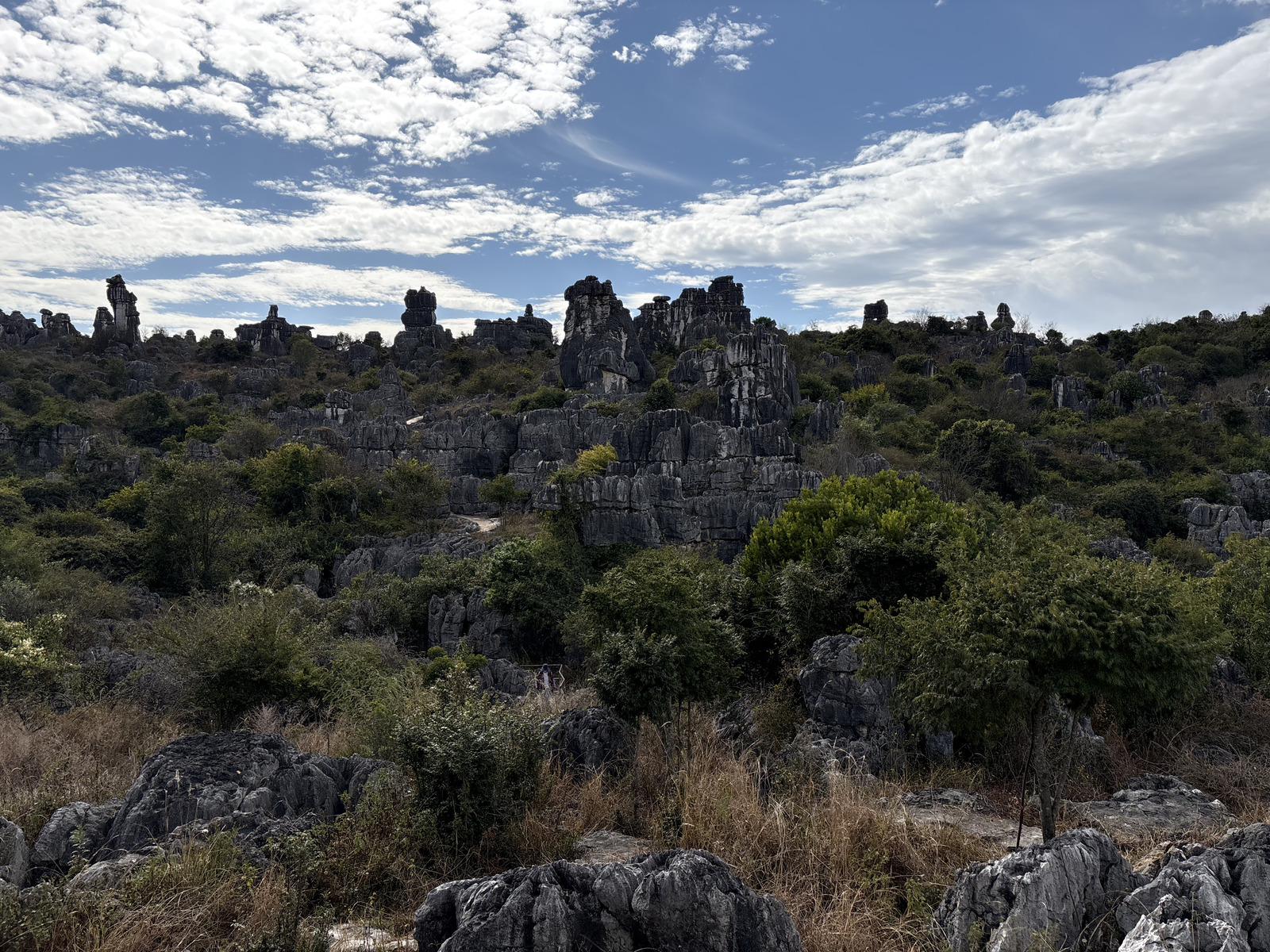 Picture China Shilin Stone Forest 2026-01 87 - Trips Shilin Stone Forest
