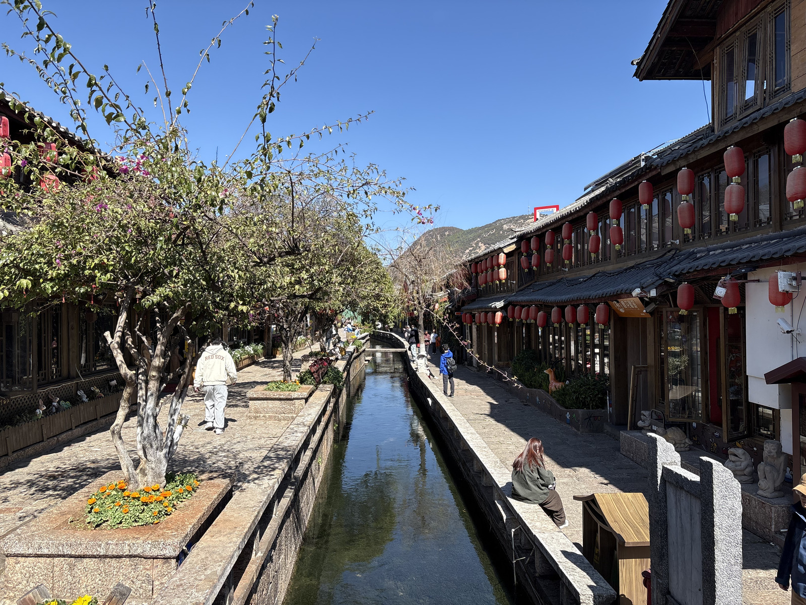 Picture China Lijiang 2026-01 539 - Picture Lijiang