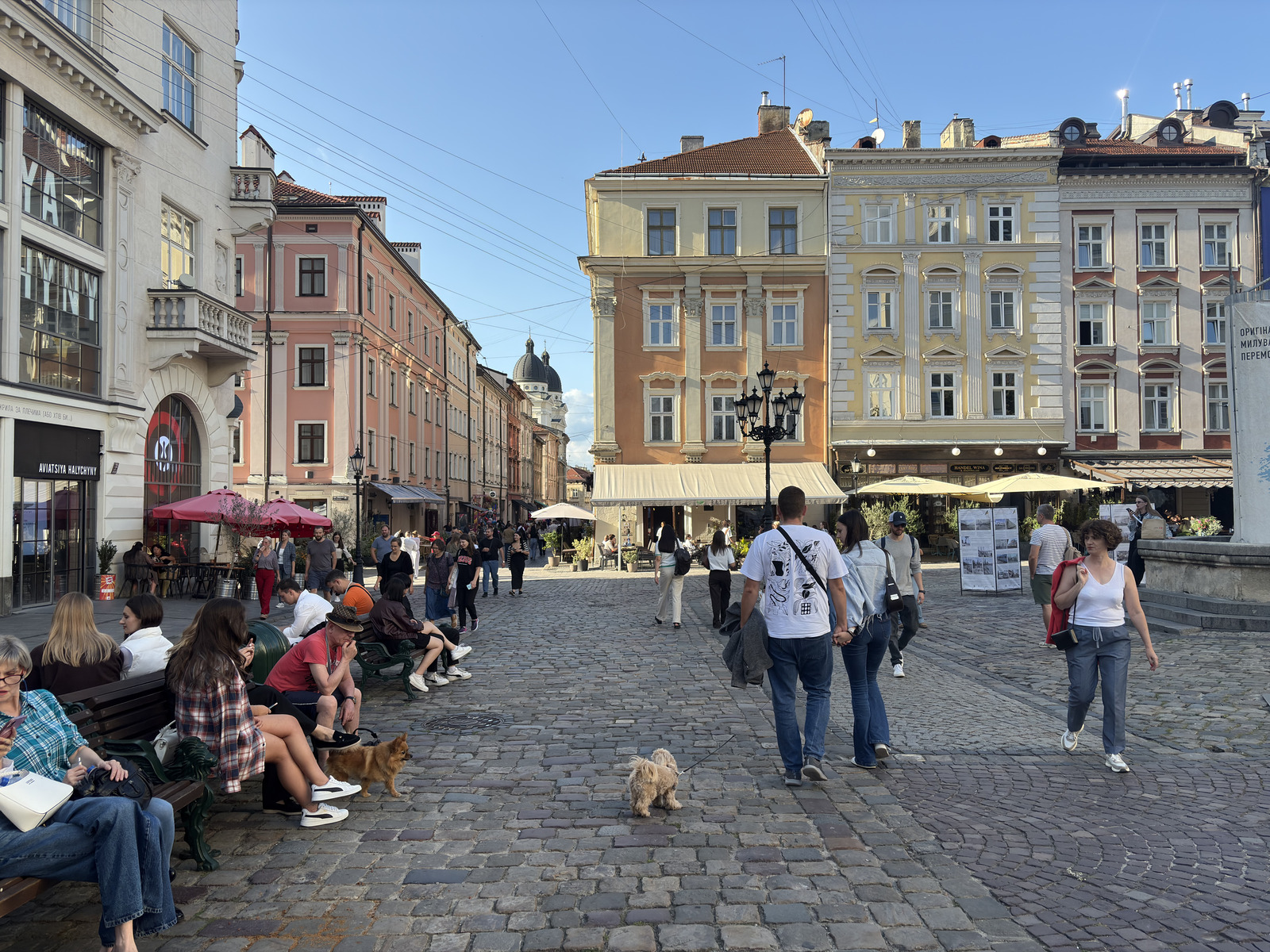 Picture Ukraine Lviv 2025-09 28 - Photos Lviv