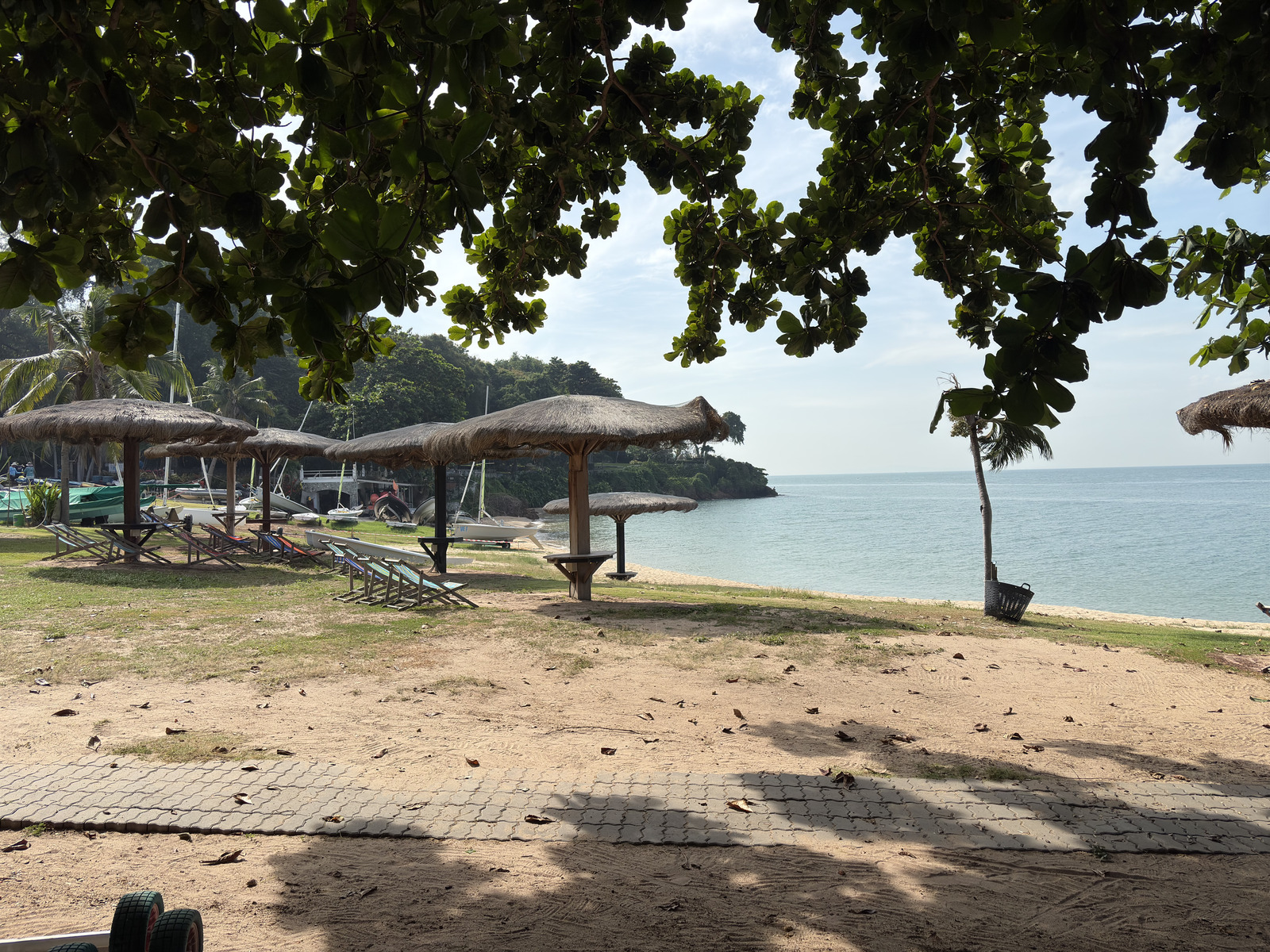 Picture Thailand Pattaya 2024-12 80 - Tourist Attraction Pattaya