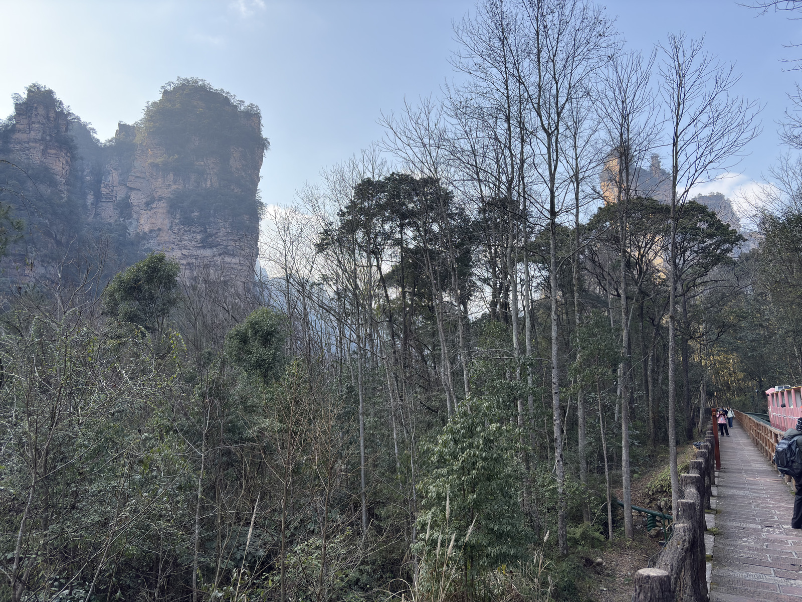 Picture China Zhangjiajie Tianzi Mountrain 2026-01 383 - Views Tianzi Mountrain