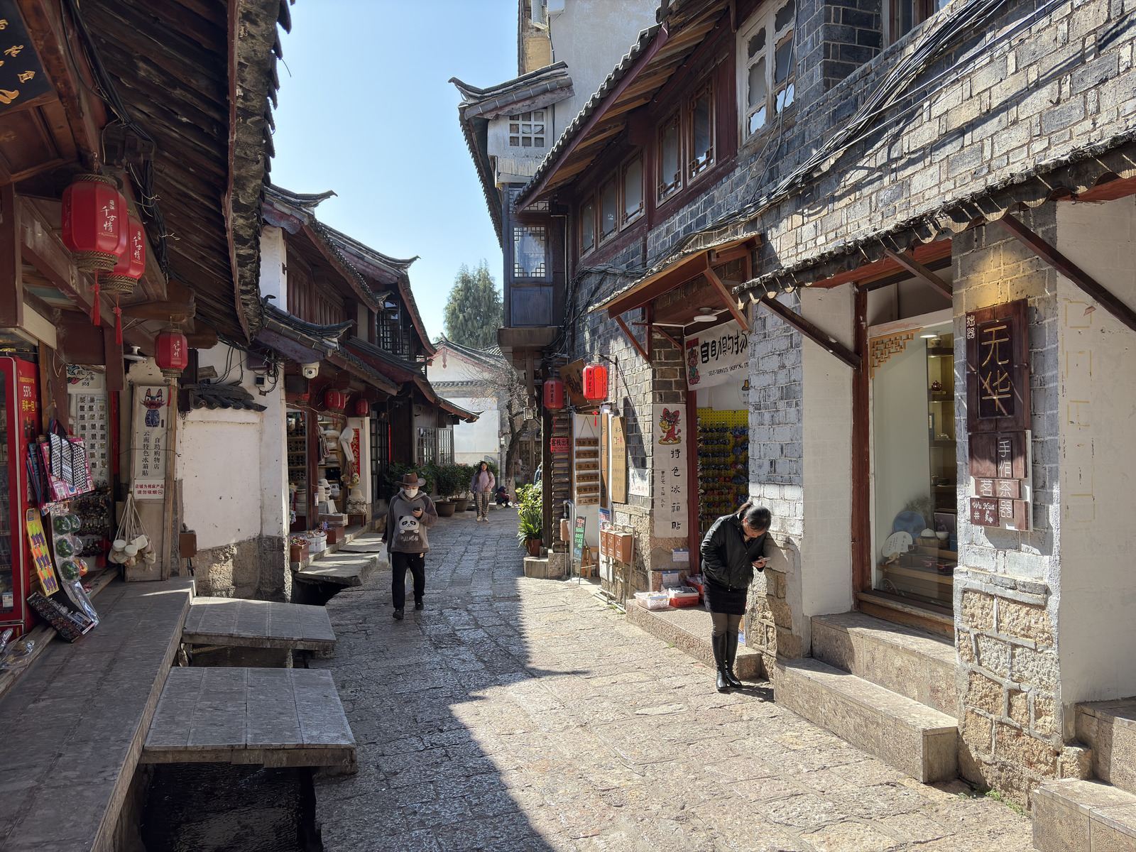Picture China Lijiang 2026-01 735 - Tourist Places Lijiang