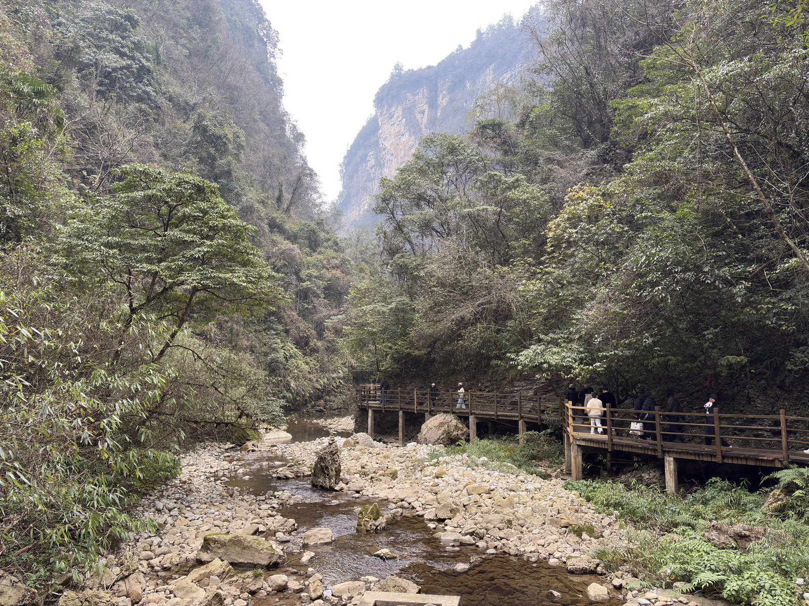 Picture China Zhangjiajie Grand Canion 2026-01 59 - Store Grand Canion
