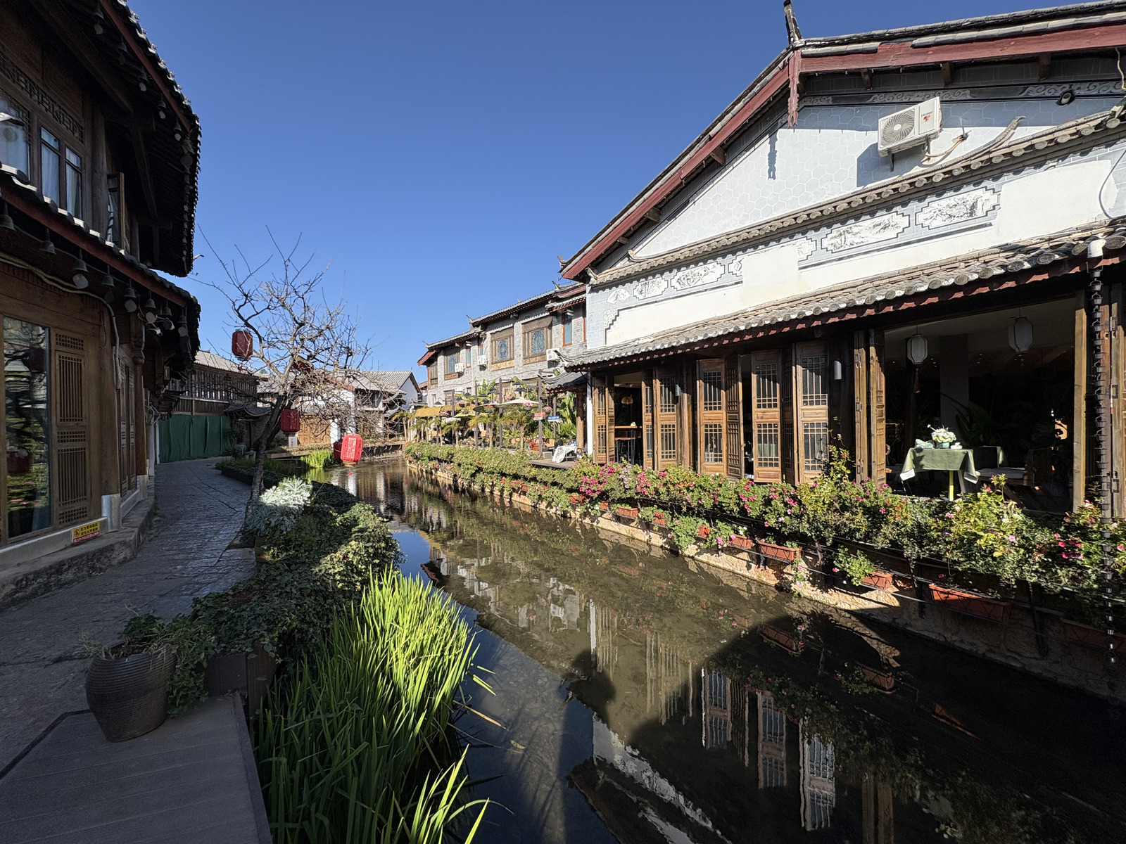 Picture China Lijiang 2026-01 541 - Pictures Lijiang