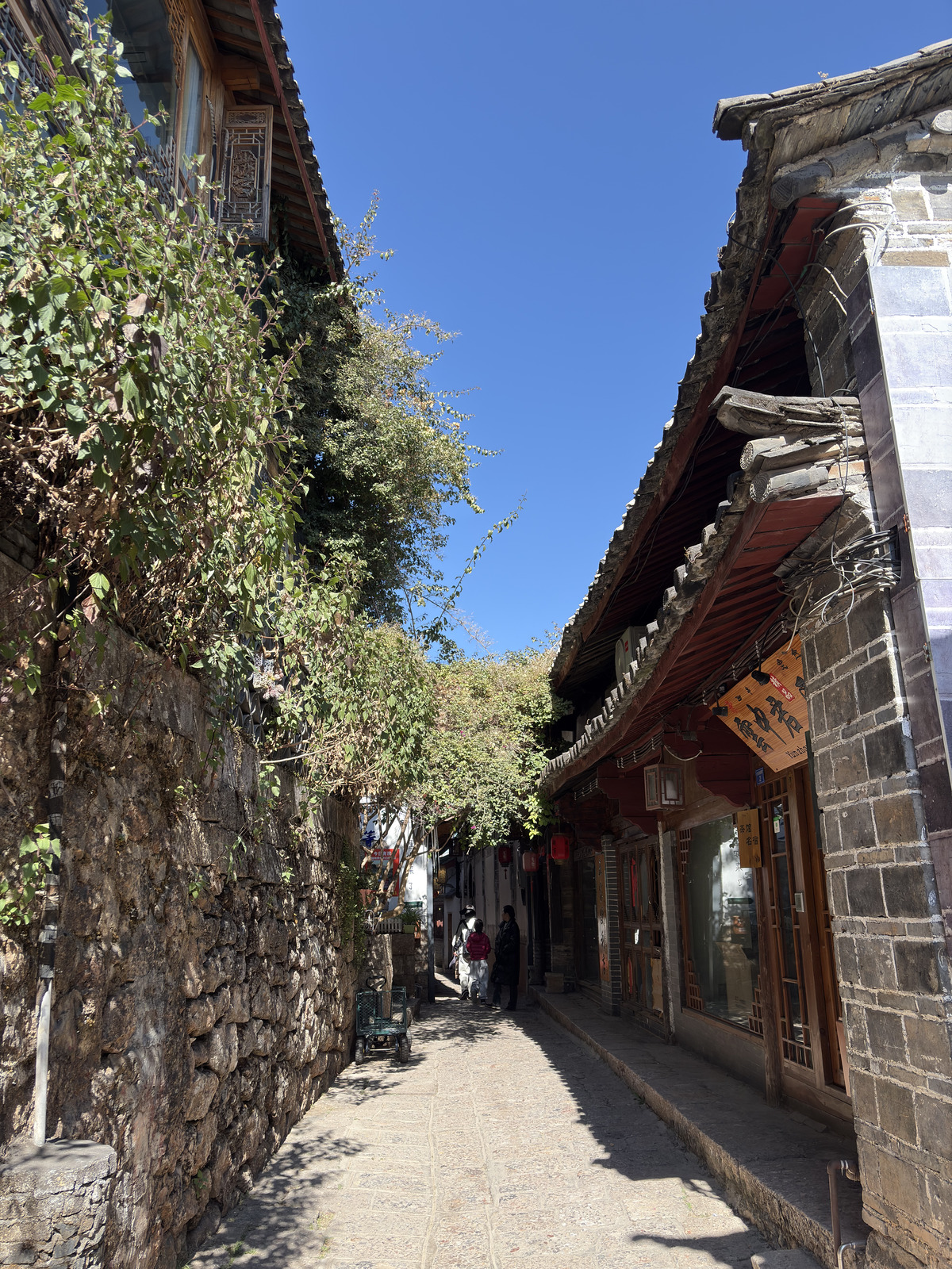 Picture China Lijiang 2026-01 338 - Sight Lijiang