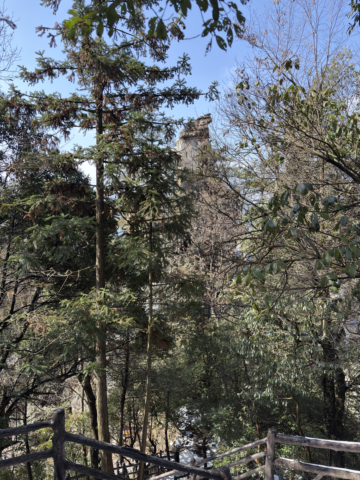 Picture China Zhangjiajie Tianzi Mountrain 2026-01 153 - Sight Tianzi Mountrain