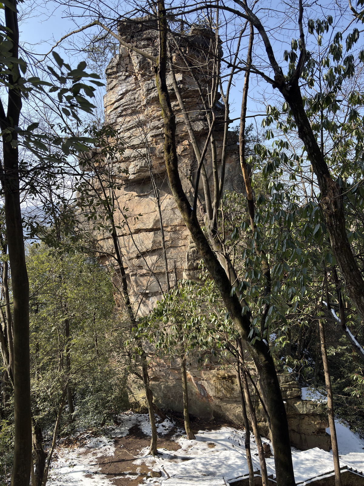 Picture China Zhangjiajie Tianzi Mountrain 2026-01 365 - Photos Tianzi Mountrain
