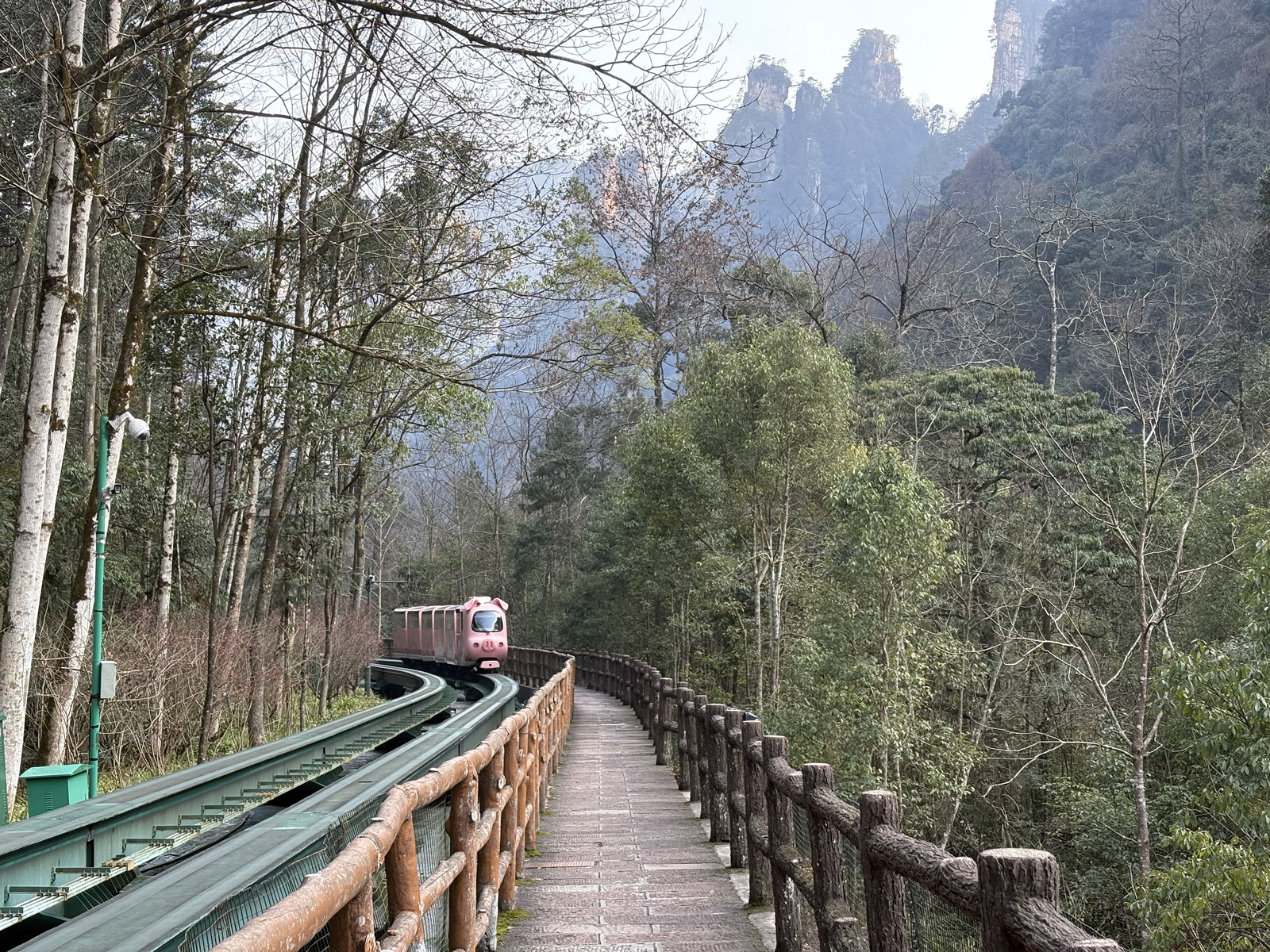 Picture China Zhangjiajie Tianzi Mountrain 2026-01 413 - Views Tianzi Mountrain