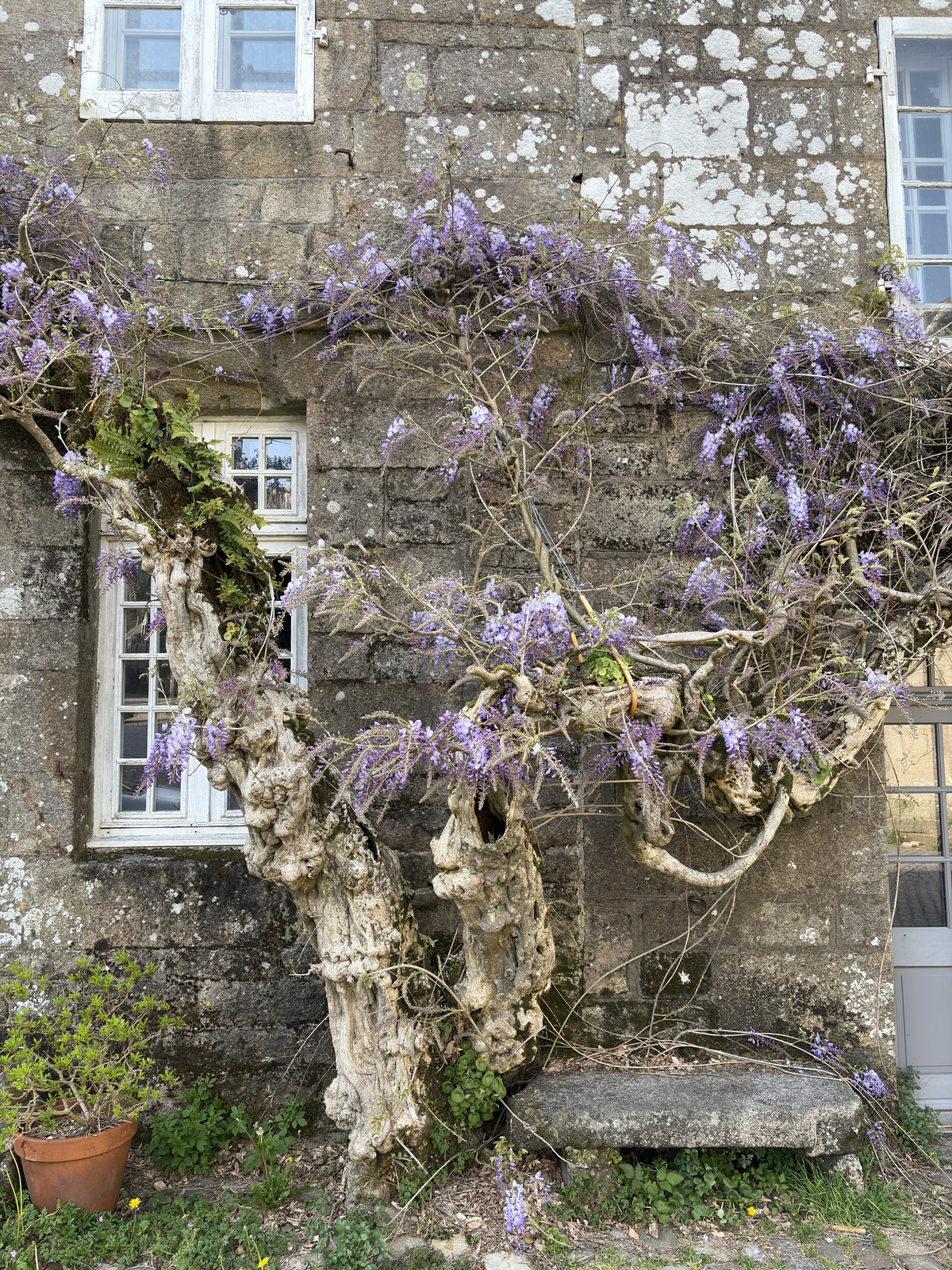 Picture France Locronan 2026-04 89 - Trips Locronan