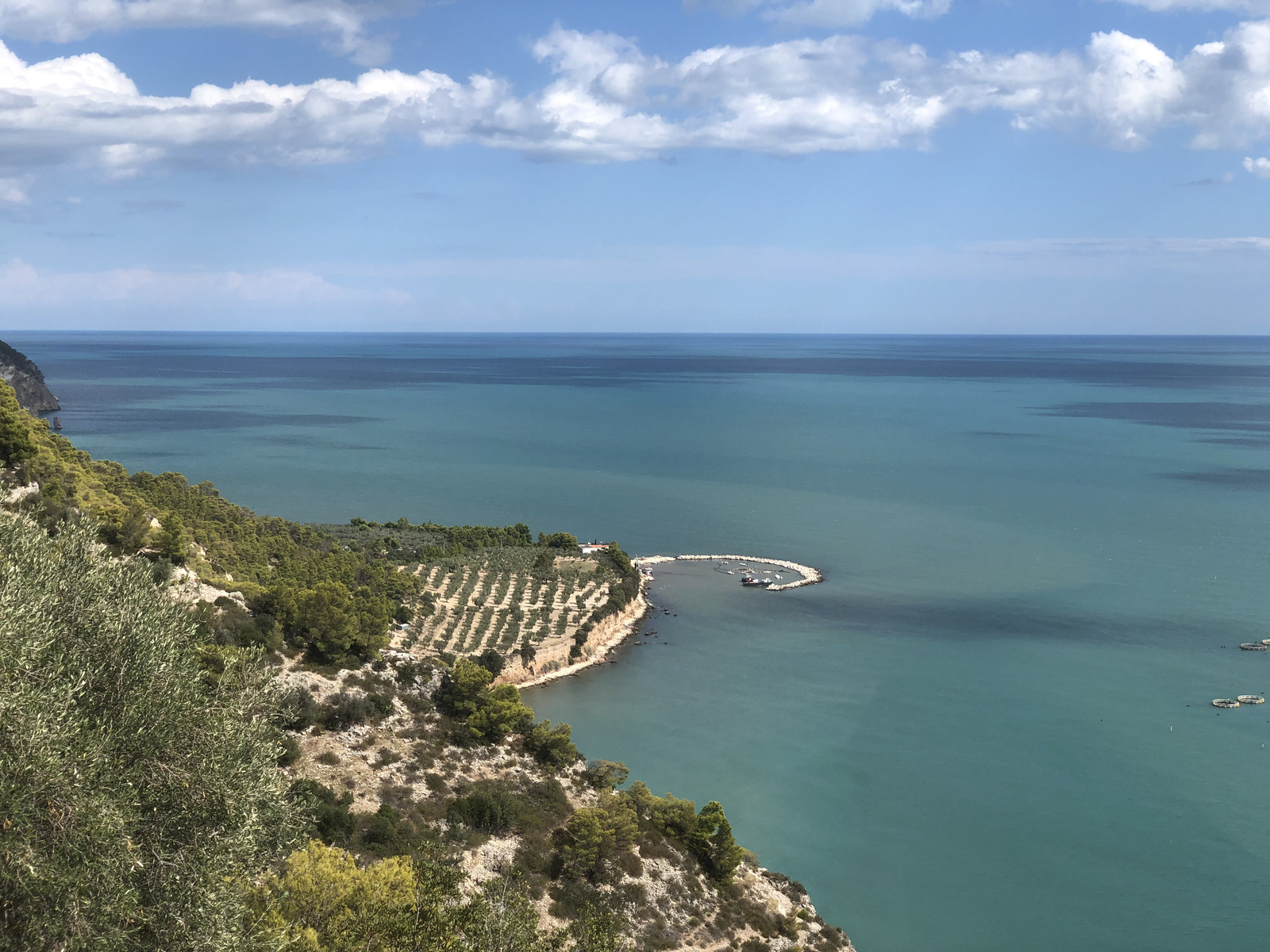 Picture Italy Gargano 2024-09 78 - Photos Gargano