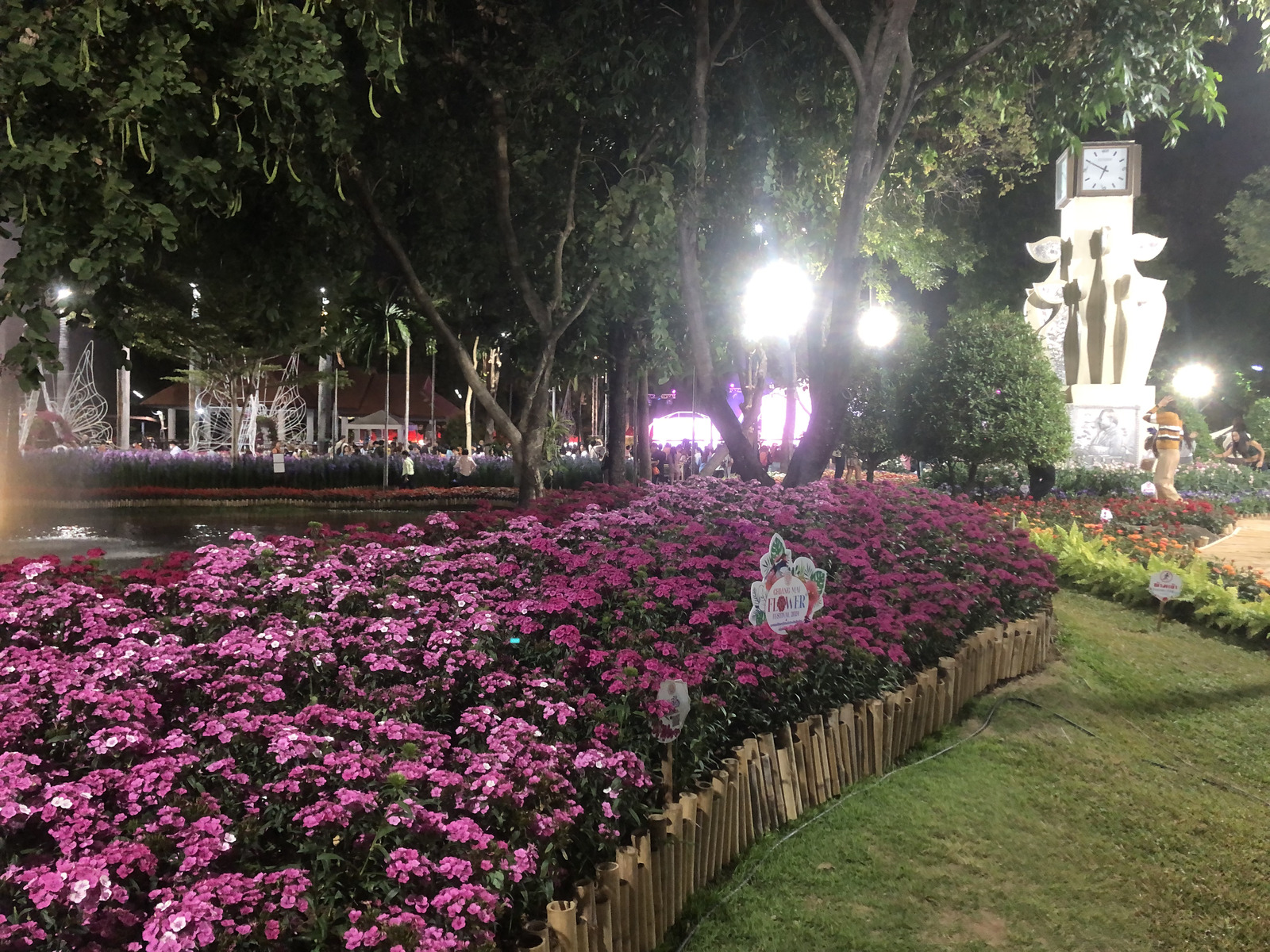 Picture Thailand Chiang Mai Nong Buak Haad Public Park 2024-01 45 - Photographers Nong Buak Haad Public Park