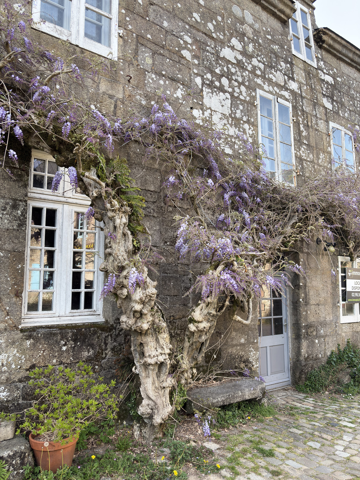 Picture France Locronan 2026-04 88 - Pictures Locronan