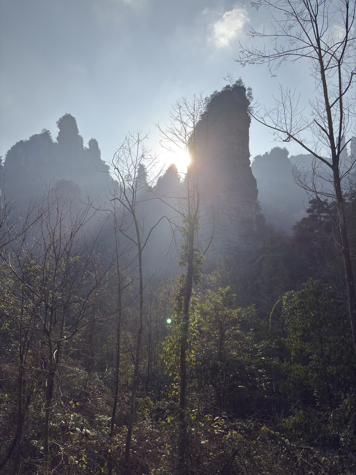 Picture China Zhangjiajie Tianzi Mountrain 2026-01 273 - Pictures Tianzi Mountrain