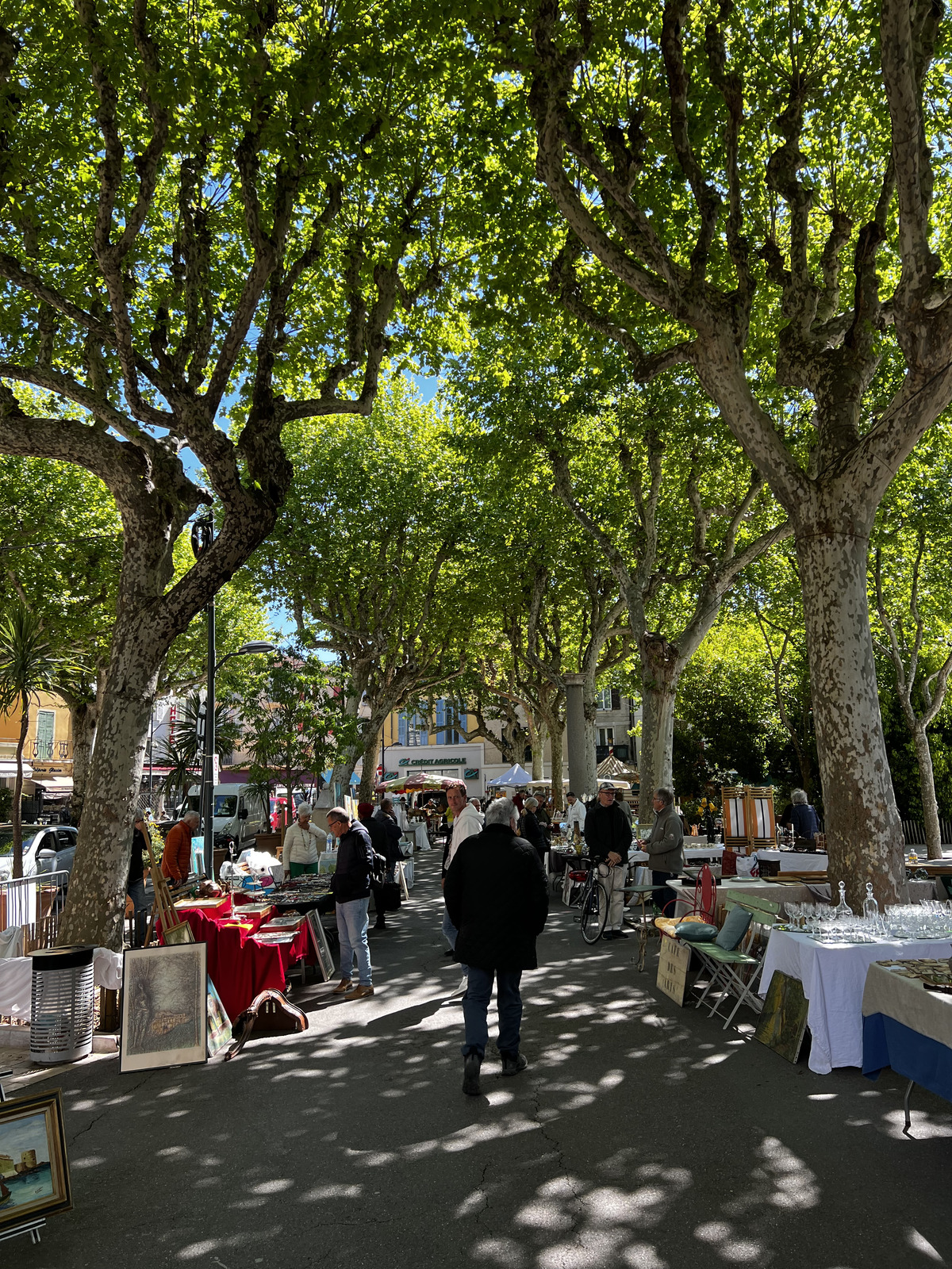 Picture France Vence 2024-04 44 - Photo Vence