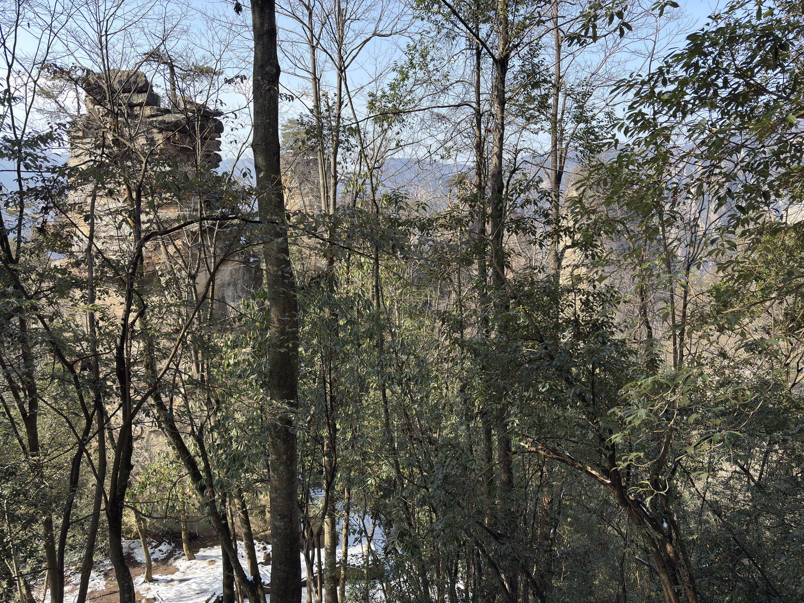Picture China Zhangjiajie Tianzi Mountrain 2026-01 331 - Trips Tianzi Mountrain