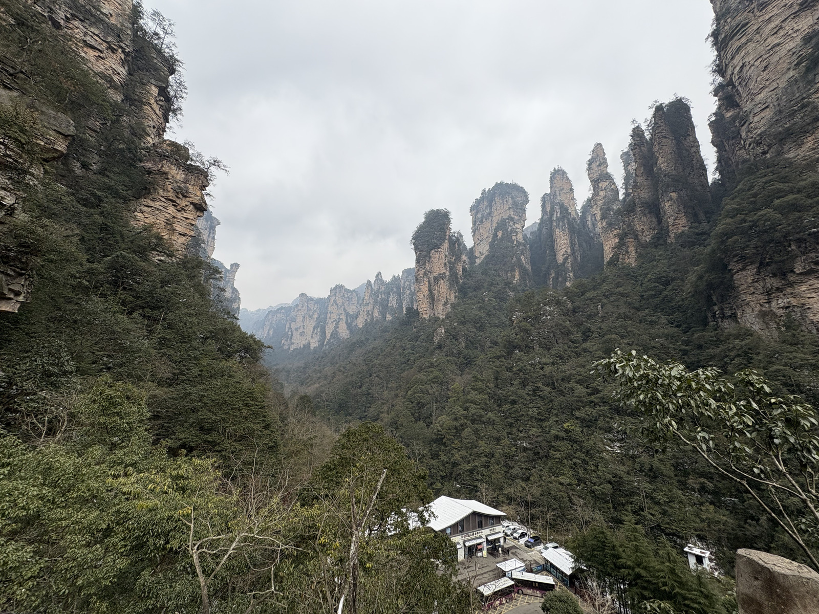 Picture China Zhangjiajie 2026-01 195 - Photographers Zhangjiajie