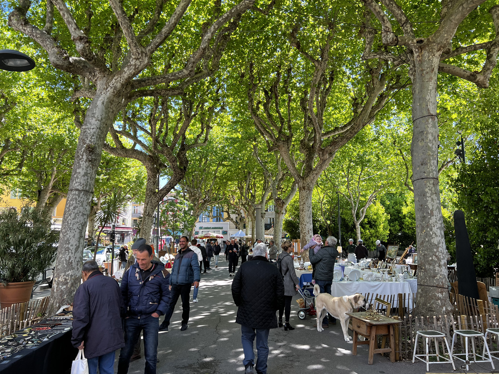 Picture France Vence 2024-04 53 - Photographers Vence