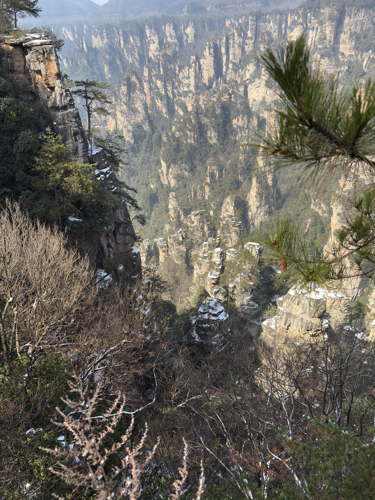 Picture China Zhangjiajie Tianzi Mountrain 2026-01 91 - Travel Tianzi Mountrain