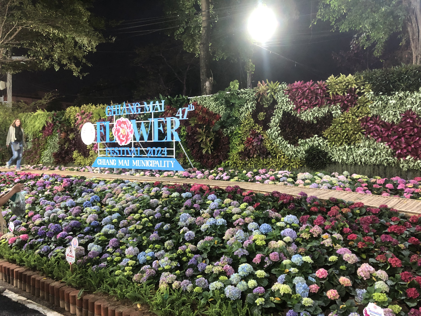 Picture Thailand Chiang Mai Nong Buak Haad Public Park 2024-01 18 - Sight Nong Buak Haad Public Park