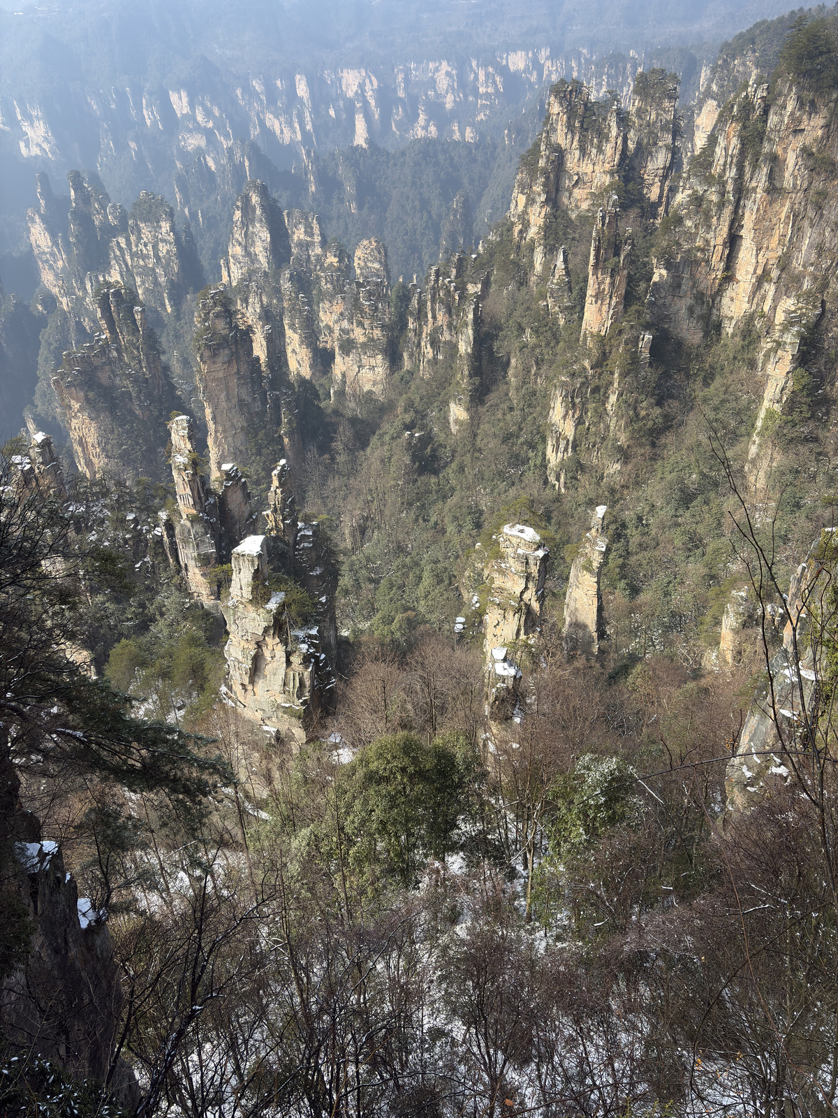 Picture China Zhangjiajie Tianzi Mountrain 2026-01 147 - Sight Tianzi Mountrain