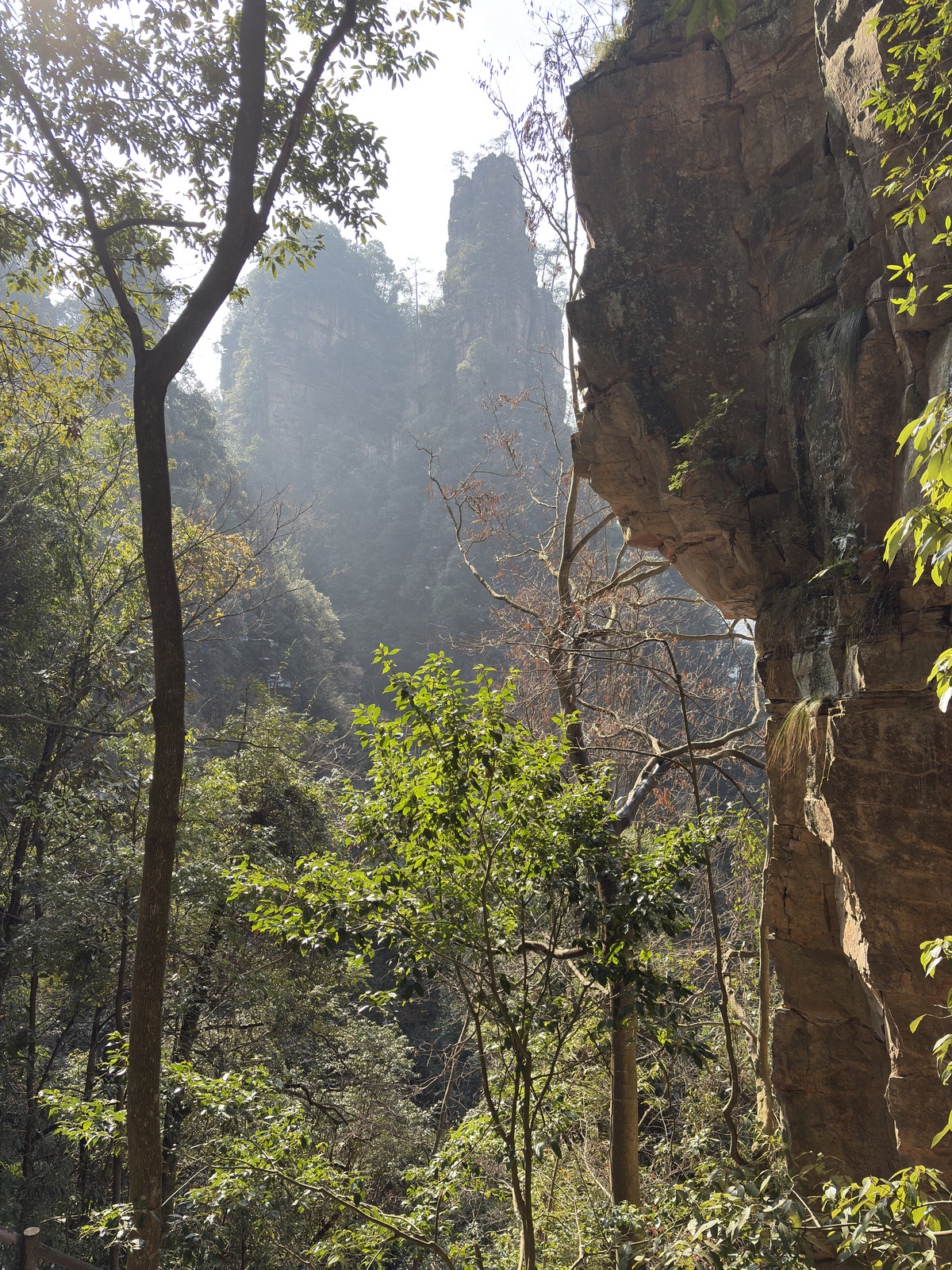 Picture China Zhangjiajie Tianzi Mountrain 2026-01 117 - Photo Tianzi Mountrain