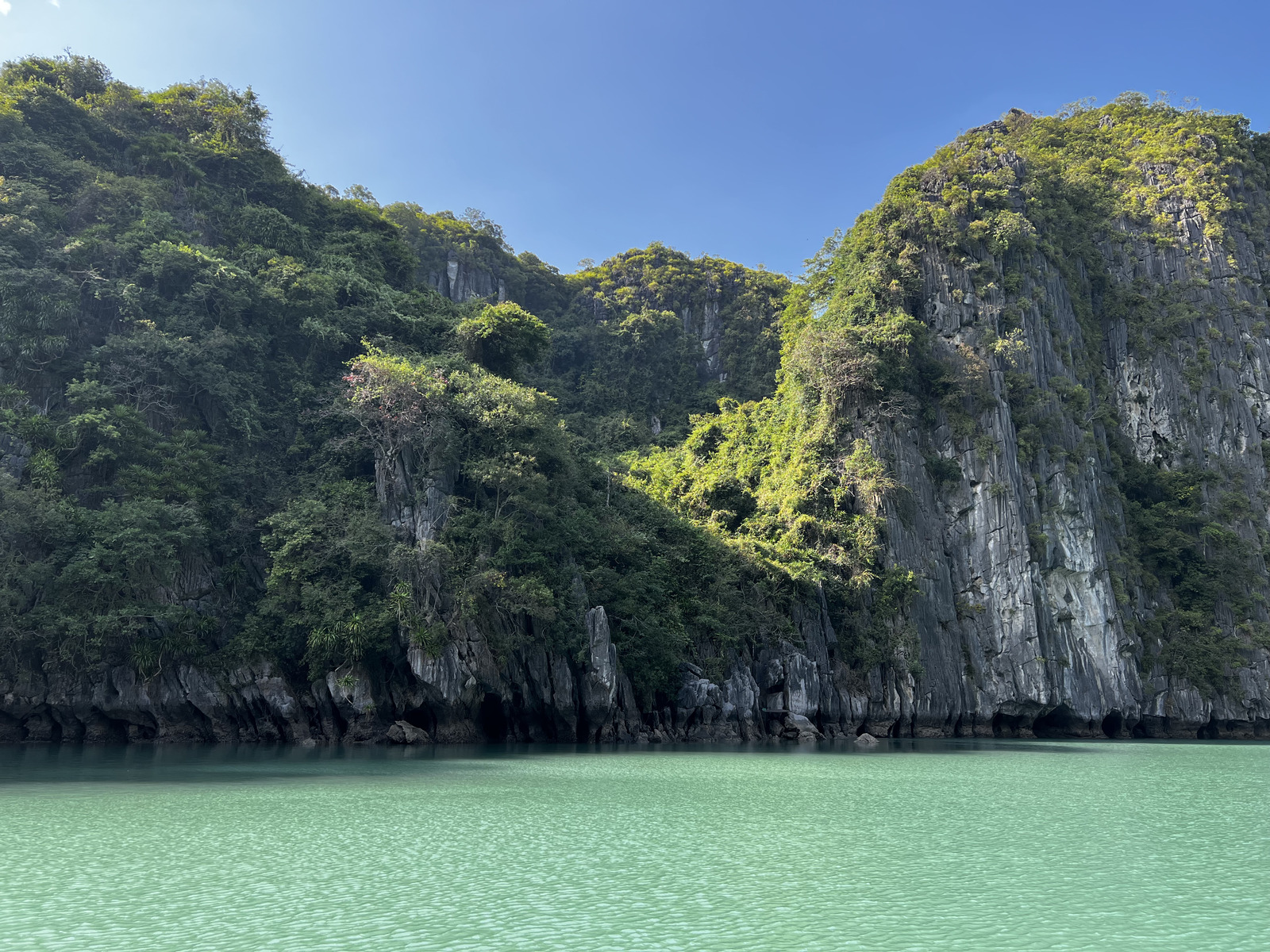 Picture Vietnam Ha Long Bay 2024-01 81 - Flights Ha Long Bay