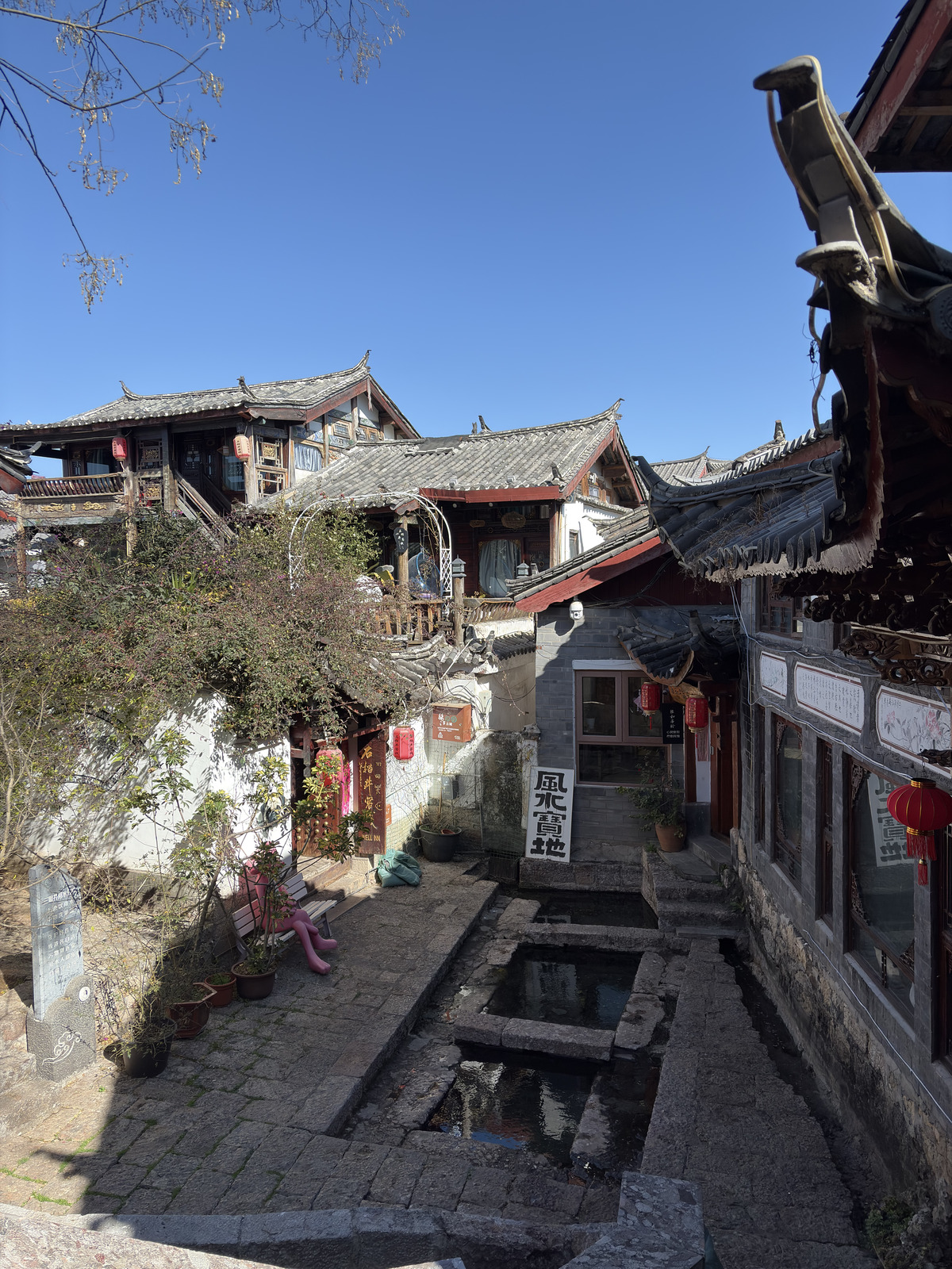 Picture China Lijiang 2026-01 732 - Journey Lijiang