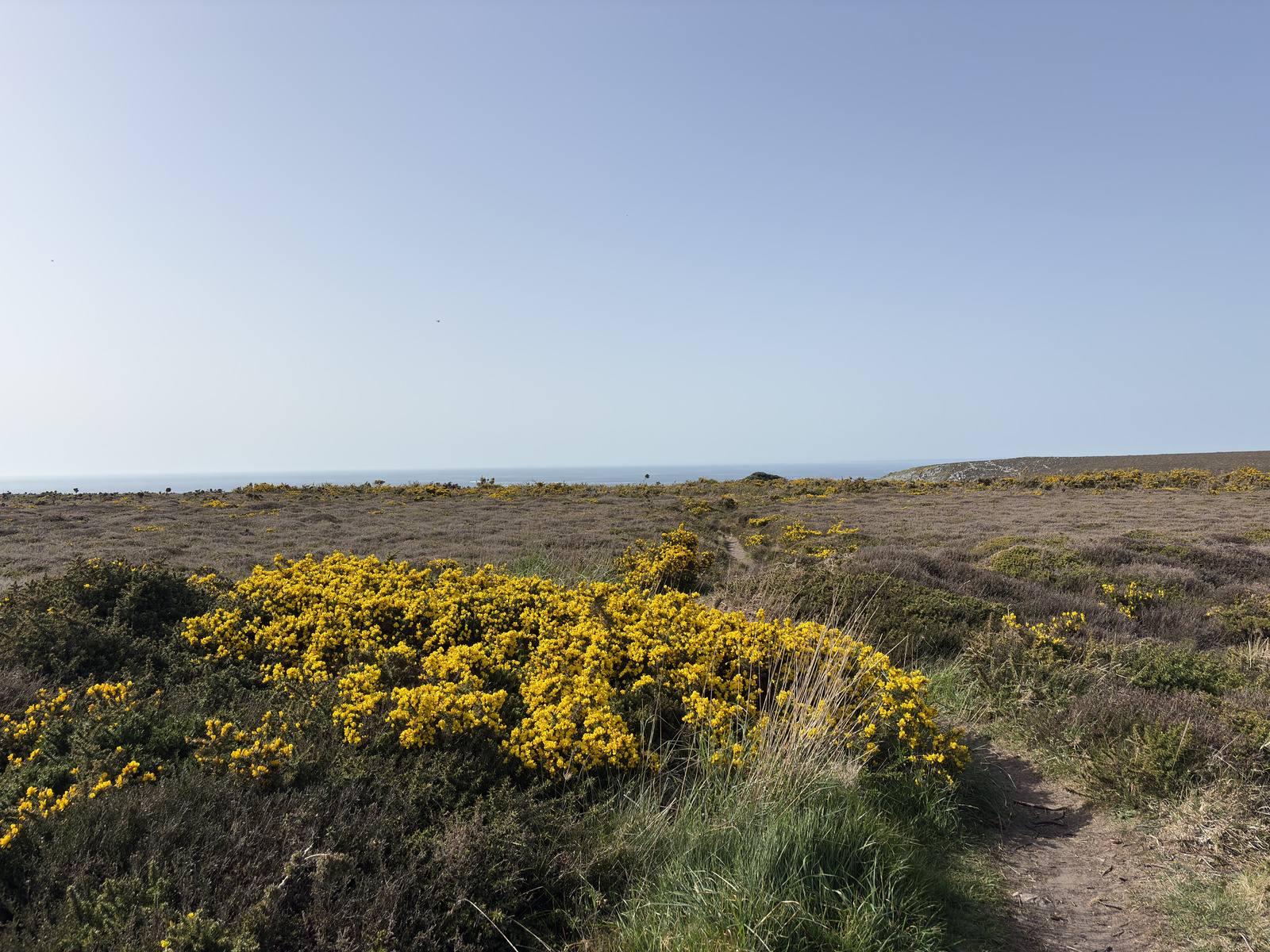 Picture France Crozon Cap de la Chevre 2026-04 9 - Shopping Mall Cap de la Chevre