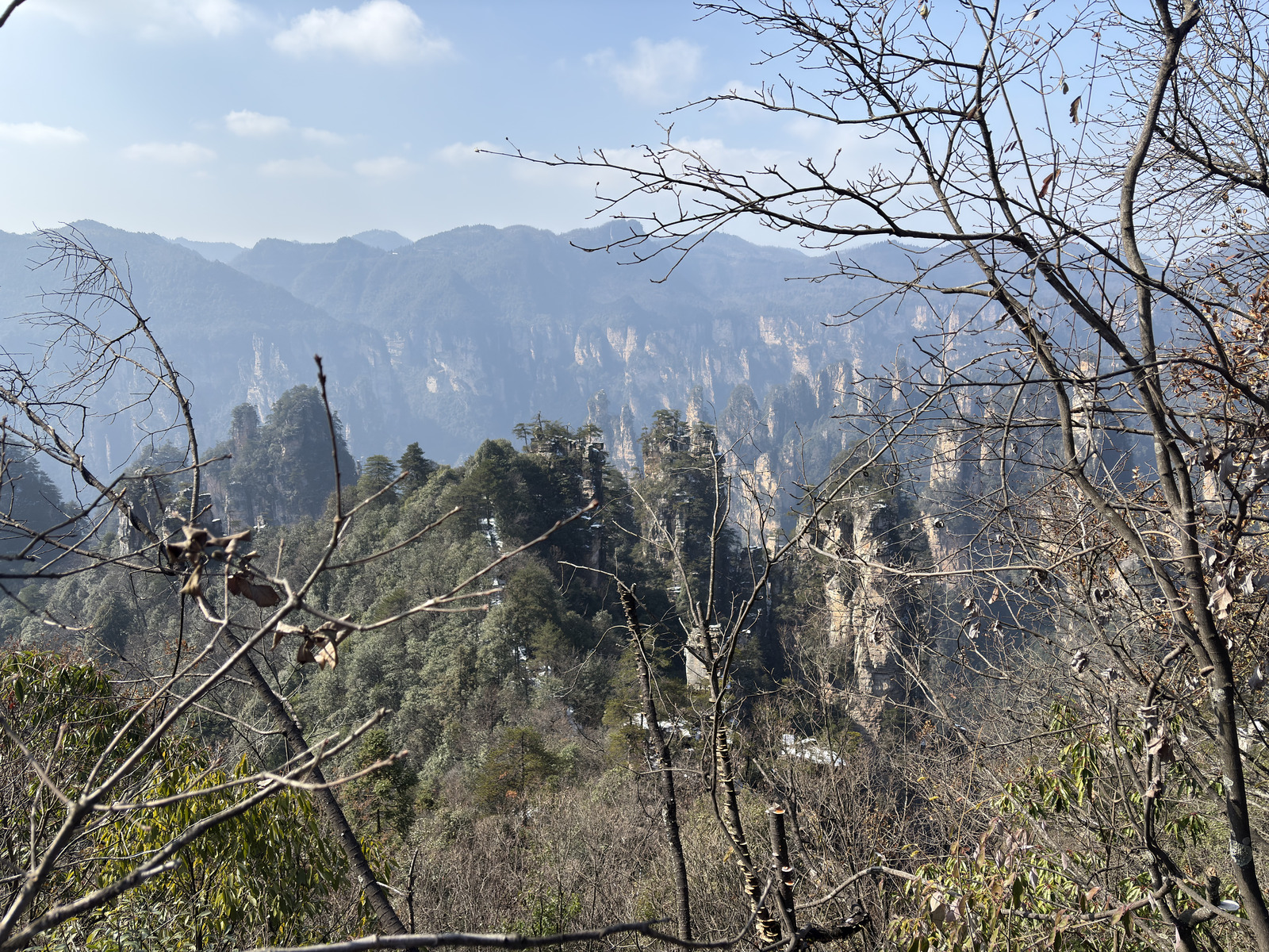 Picture China Zhangjiajie Tianzi Mountrain 2026-01 396 - Discover Tianzi Mountrain