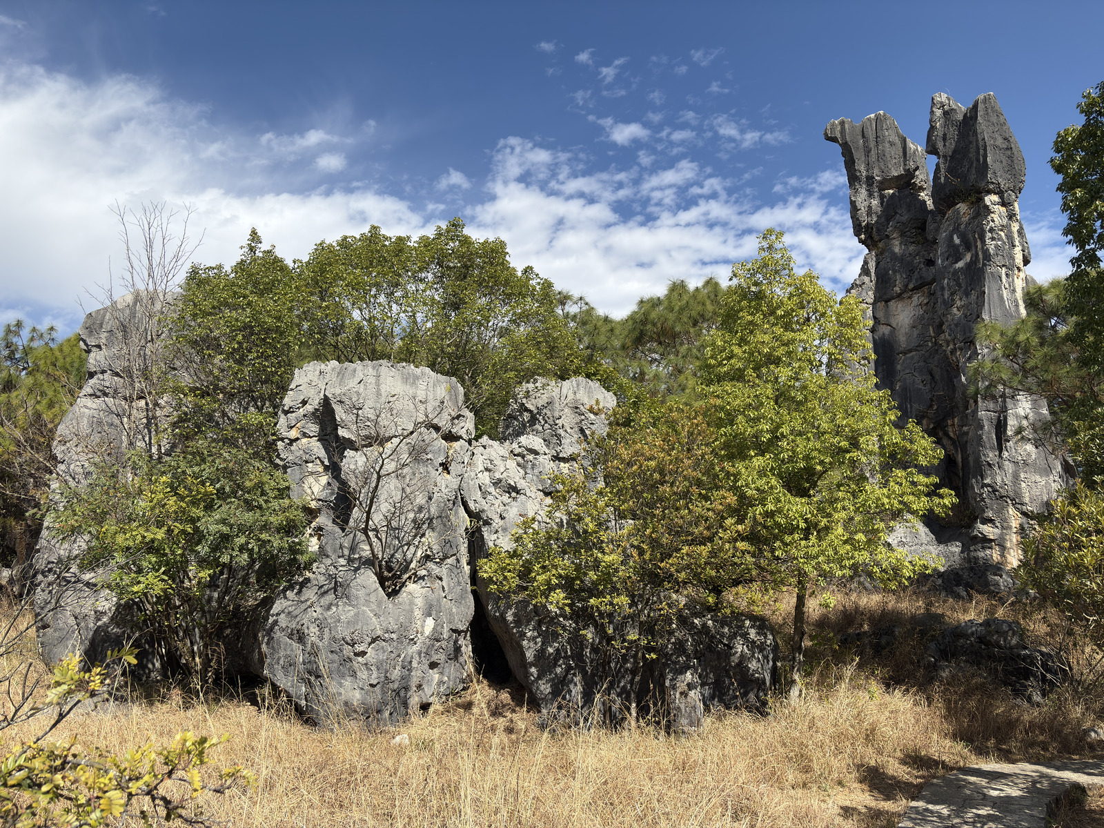 Picture China Shilin Stone Forest 2026-01 377 - Photographers Shilin Stone Forest
