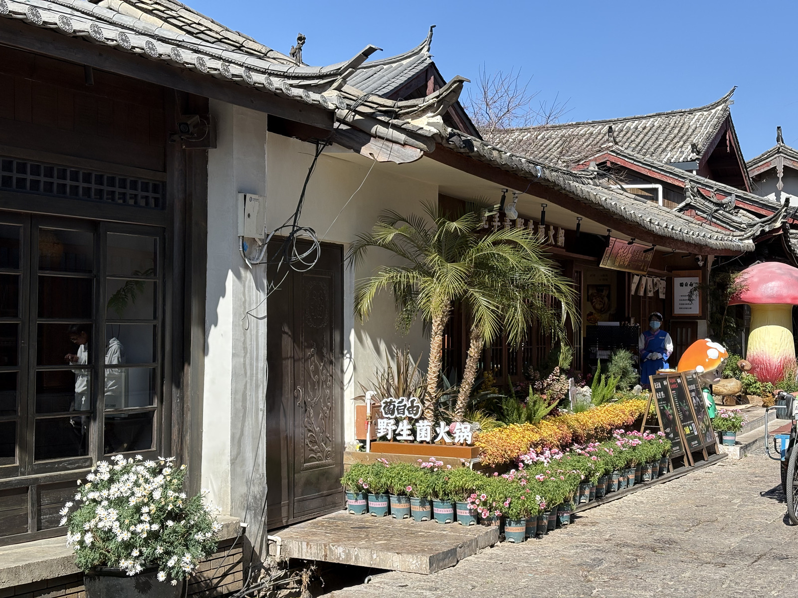 Picture China Lijiang 2026-01 319 - Travels Lijiang