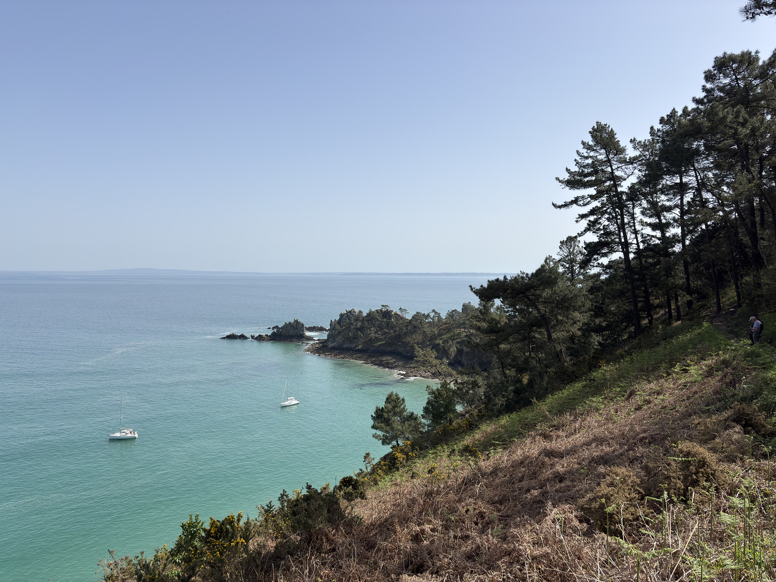 Picture France Crozon Ile Vierge Beach 2026-04 50 - Trips Ile Vierge Beach