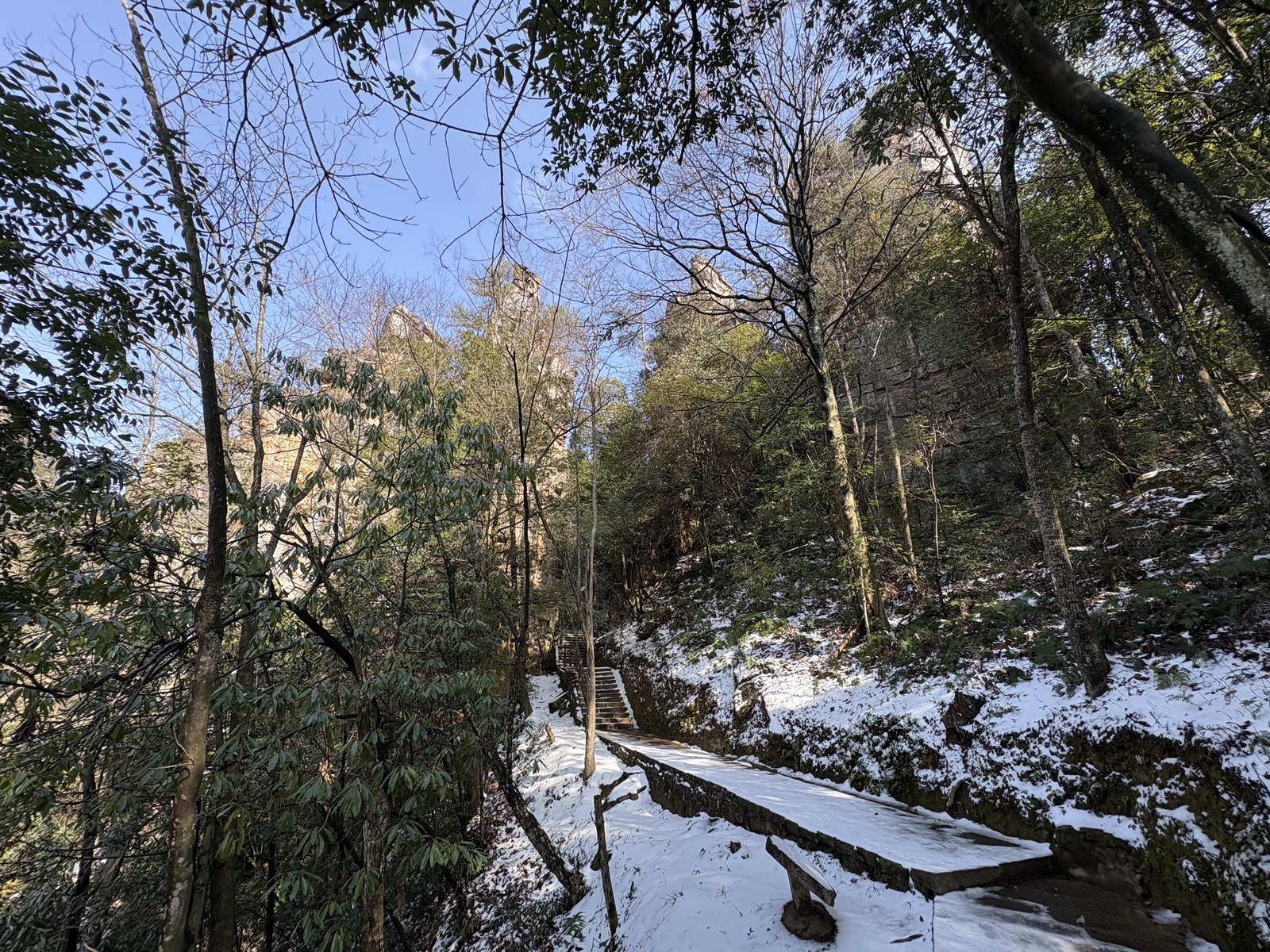 Picture China Zhangjiajie Tianzi Mountrain 2026-01 164 - Sightseeing Tianzi Mountrain