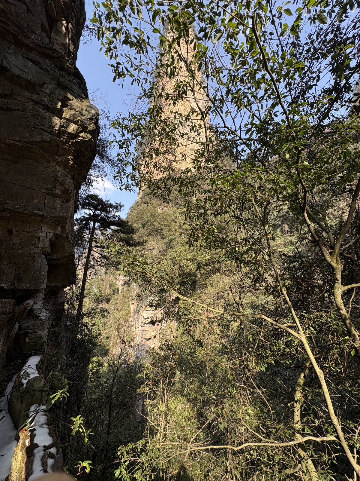 Picture China Zhangjiajie Tianzi Mountrain 2026-01 37 - Travels Tianzi Mountrain