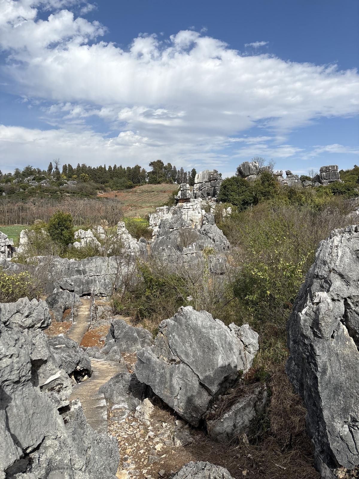 Picture China Shilin Stone Forest 2026-01 383 - View Shilin Stone Forest