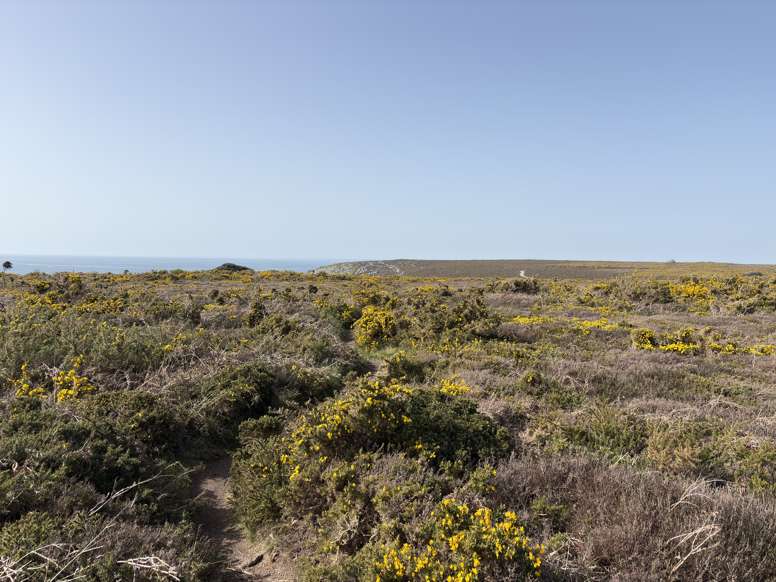 Picture France Crozon Cap de la Chevre 2026-04 15 - Flight Cap de la Chevre
