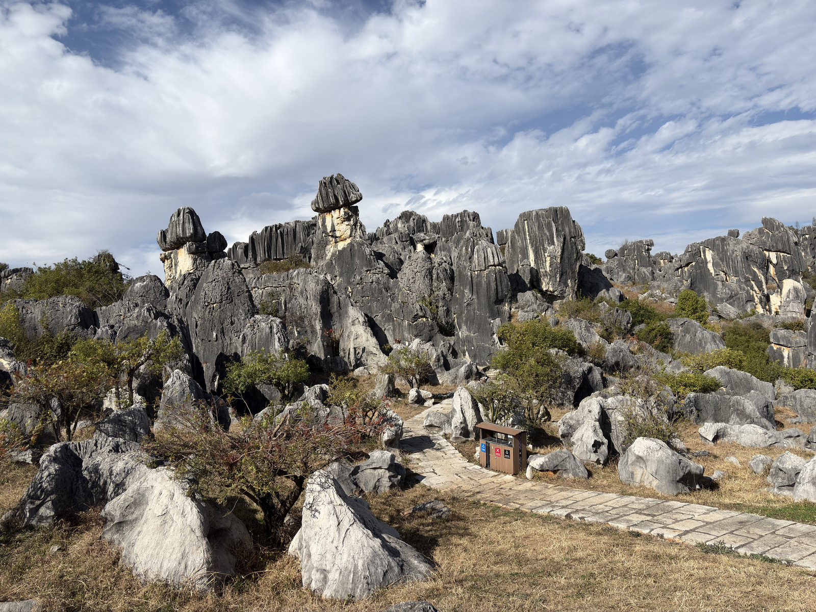 Picture China Shilin Stone Forest 2026-01 296 - Photographer Shilin Stone Forest