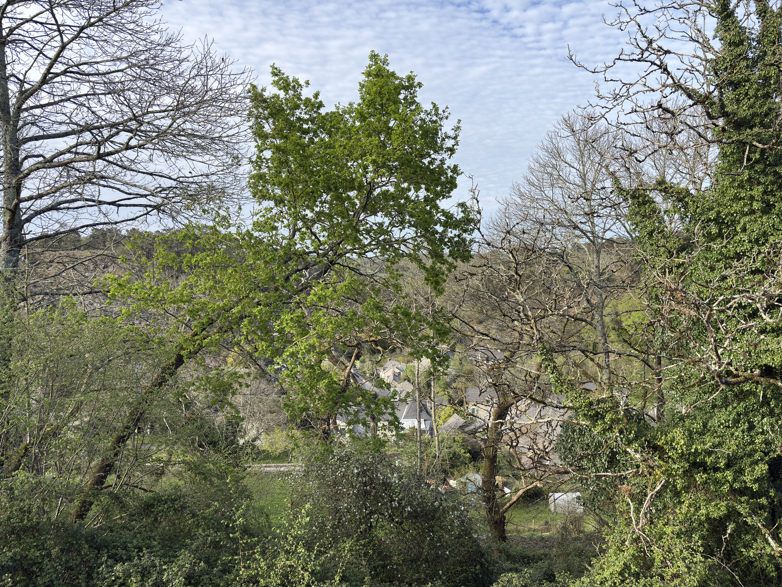 Picture France Rochefort en terre 2026-04 28 - Flights Rochefort en terre