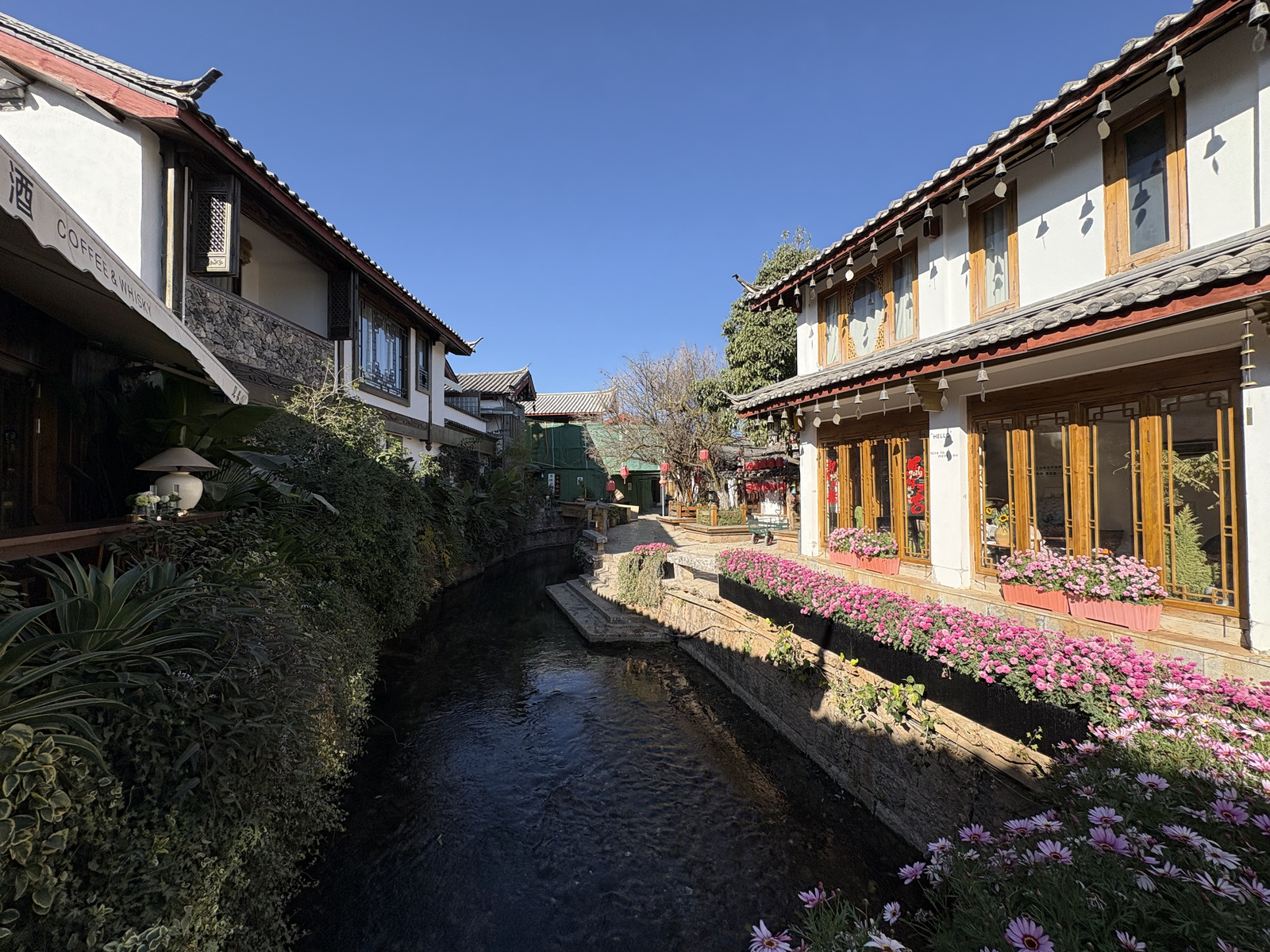 Picture China Lijiang 2026-01 275 - Tourist Places Lijiang